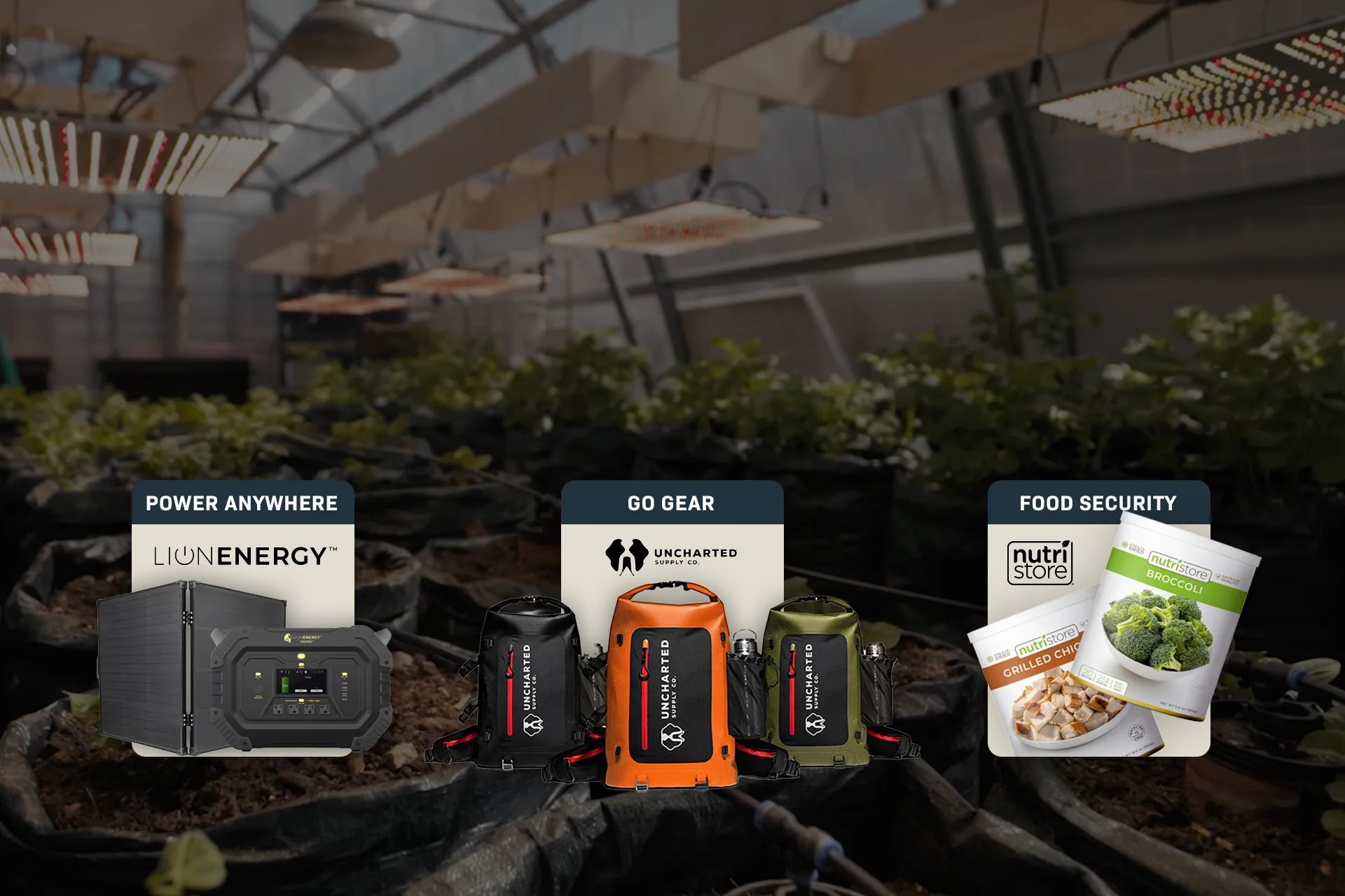 Master Your Independent Lifestyle
