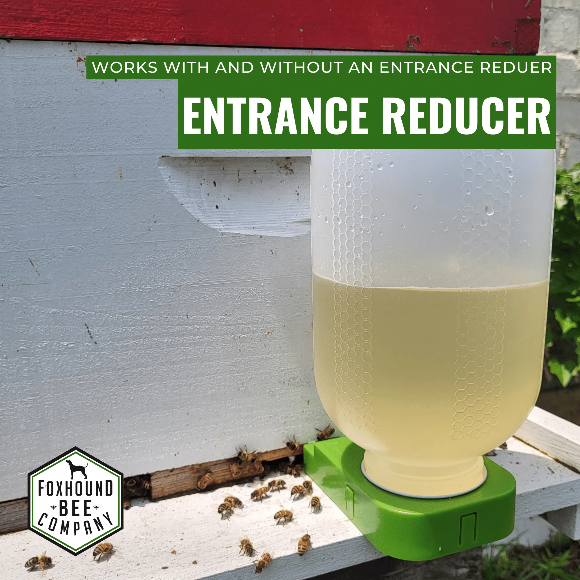 1/2 Gallon Jar and Foxhound Entrance Feeder with UV Inhibitor - Image 3