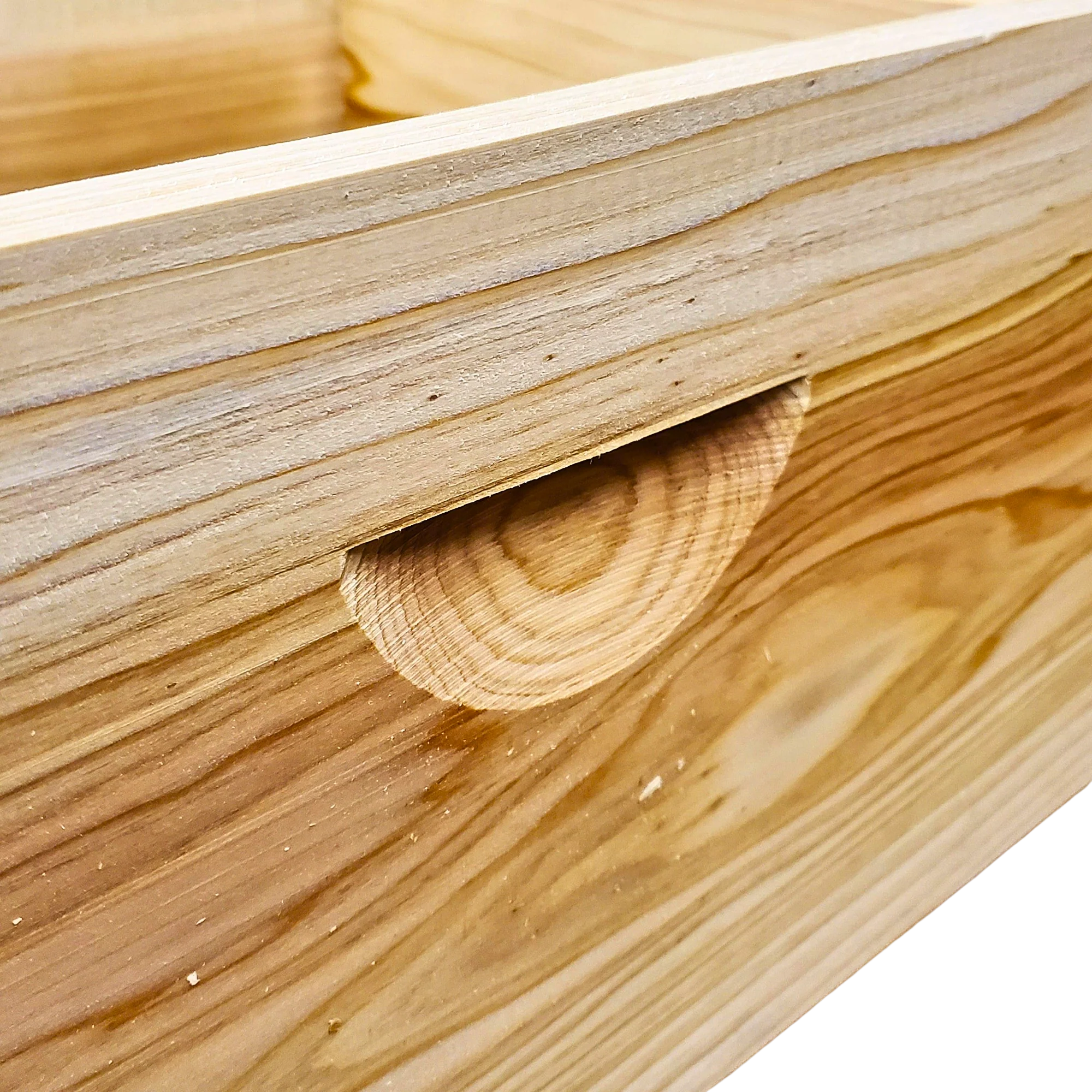 10-Frame All-Medium Box Hive Kit - Image 11