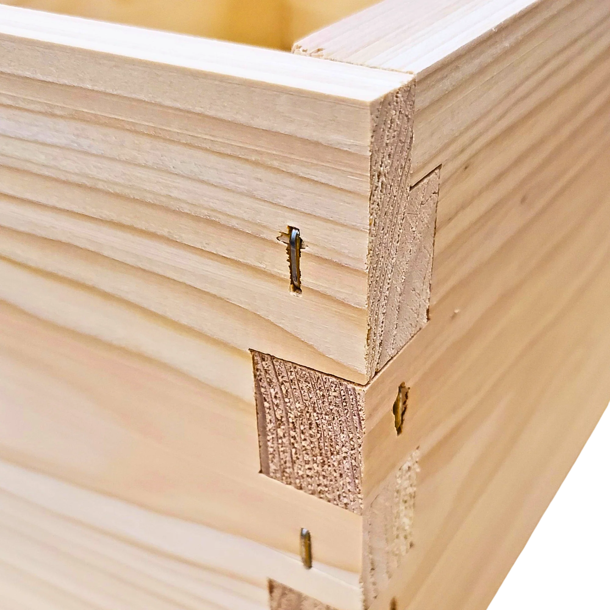 10-Frame All-Medium Box Hive Kit - Image 13