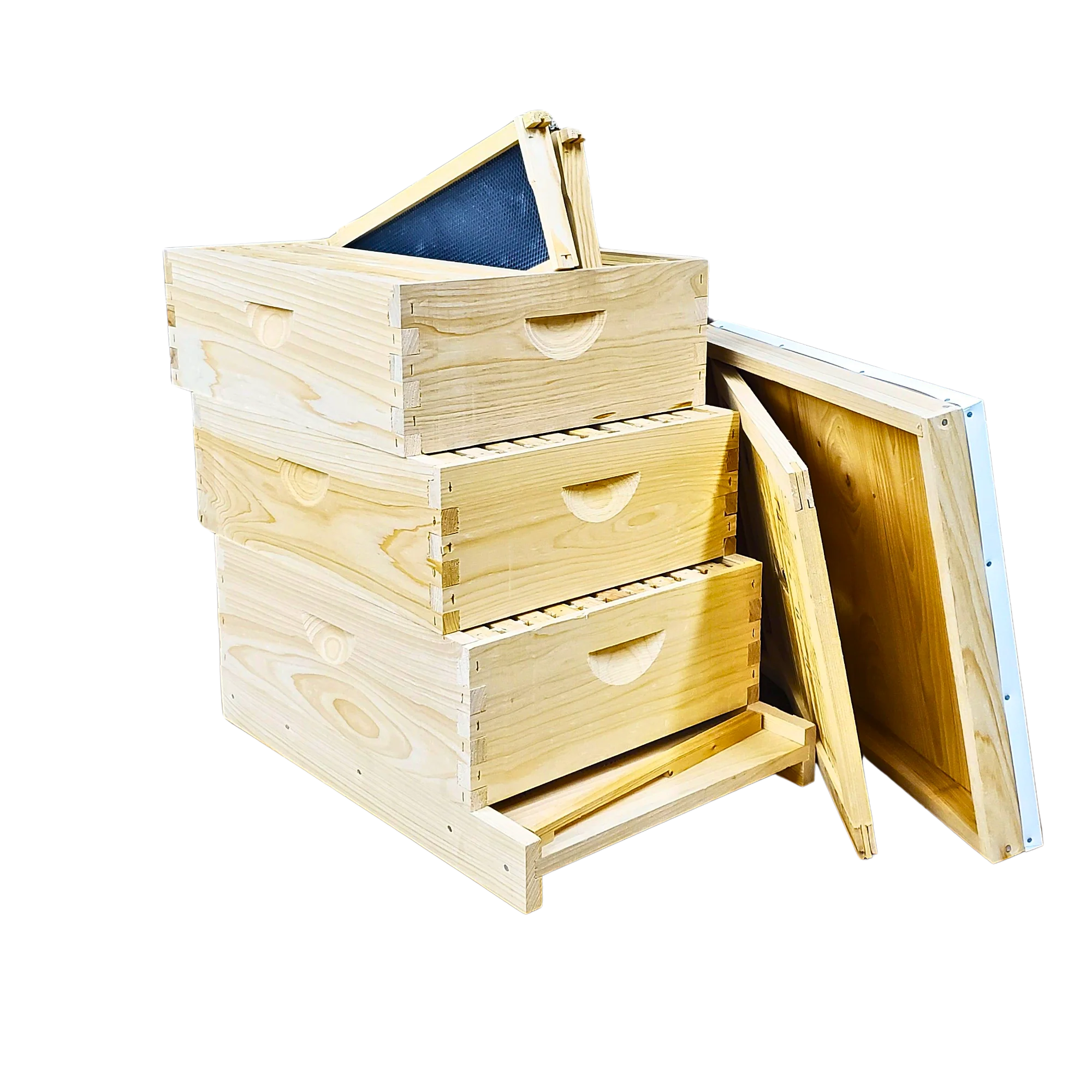 10-Frame All-Medium Box Hive Kit - Image 2