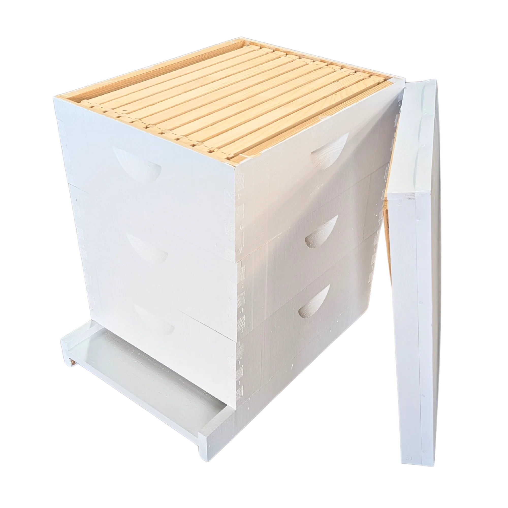 10-Frame All-Medium Box Hive Kit - Image 26