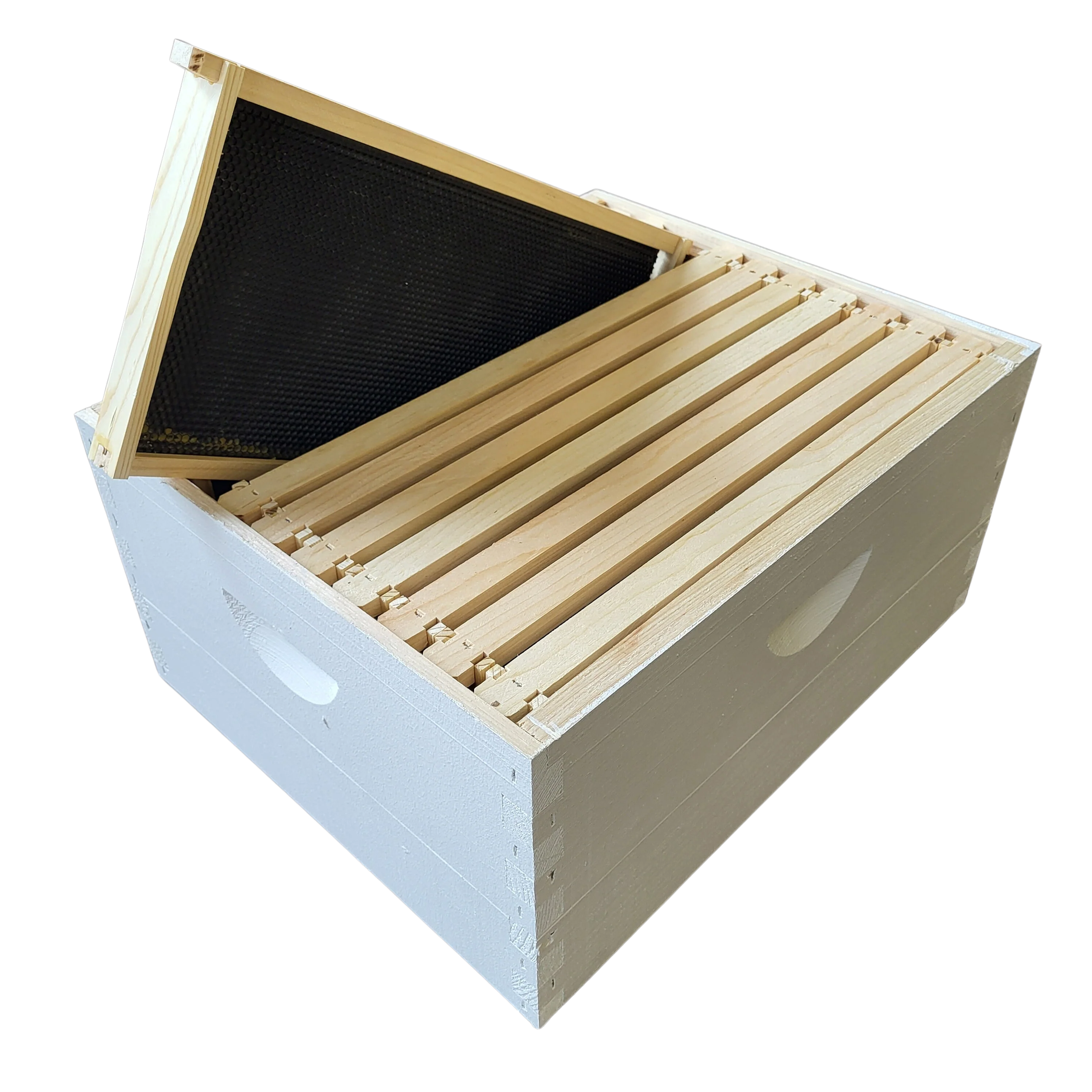 10-Frame Complete, Deep 9 5/8-inch Box with Frames and Foundation - Image 2