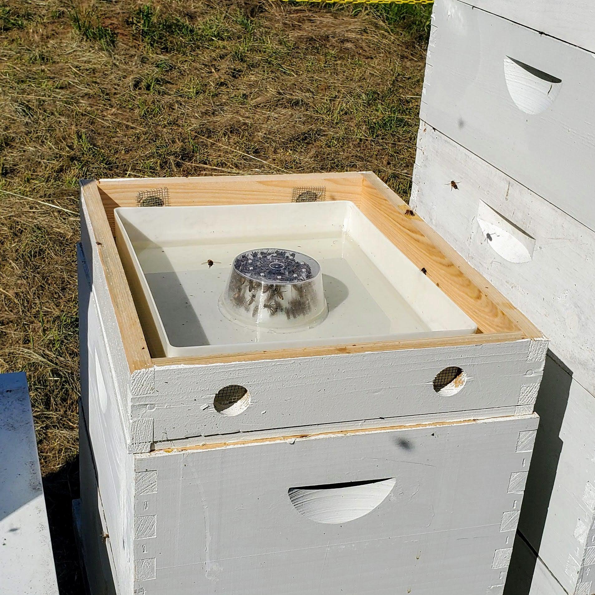 10 Frame Top Feeder - Image 3