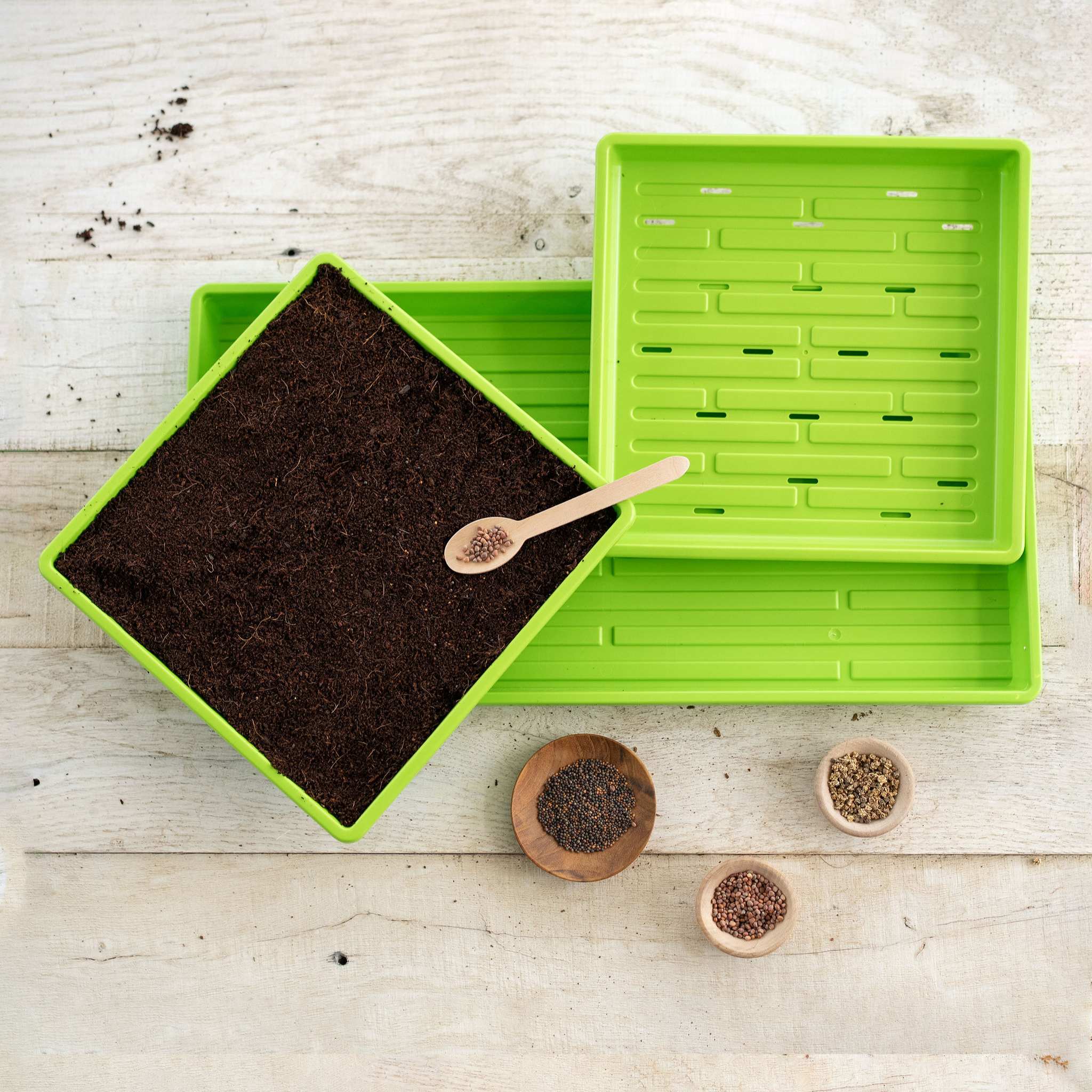 1010 Microgreens Kit - Image 10