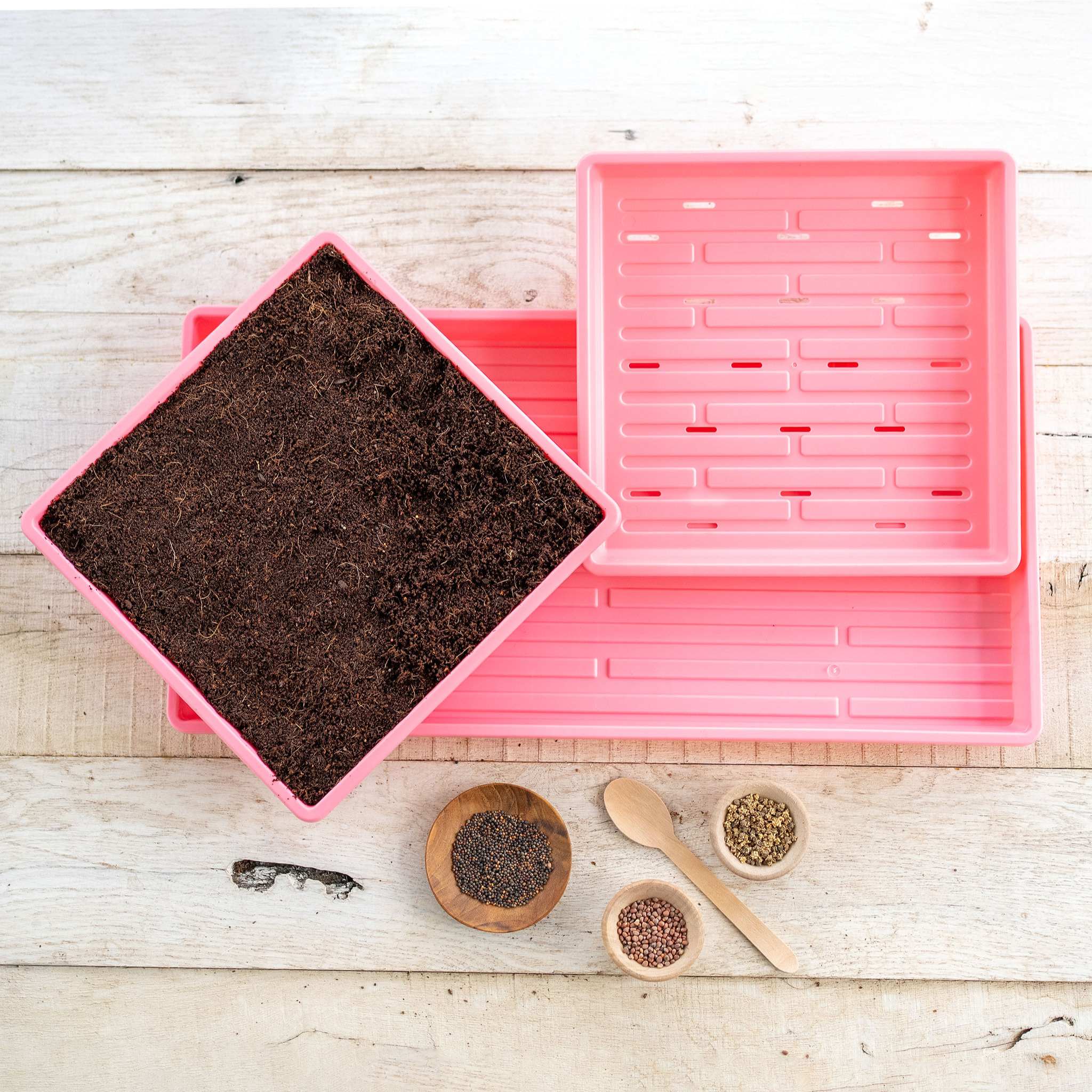 1010 Microgreens Kit - Image 18