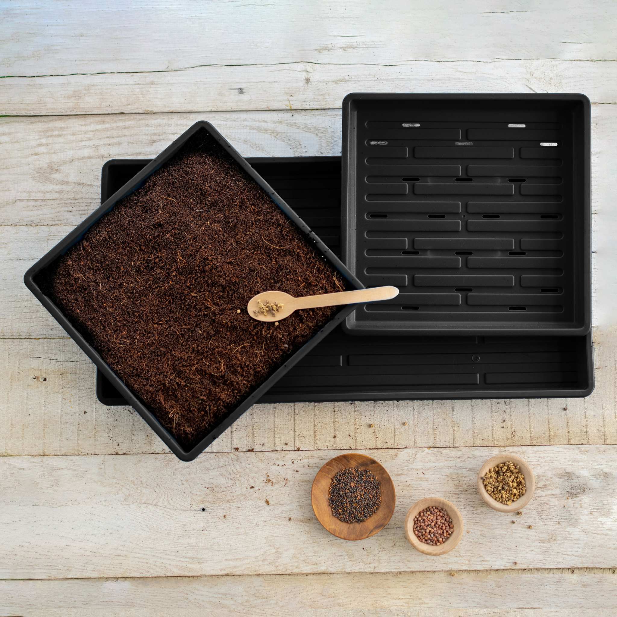 1010 Microgreens Kit - Image 2