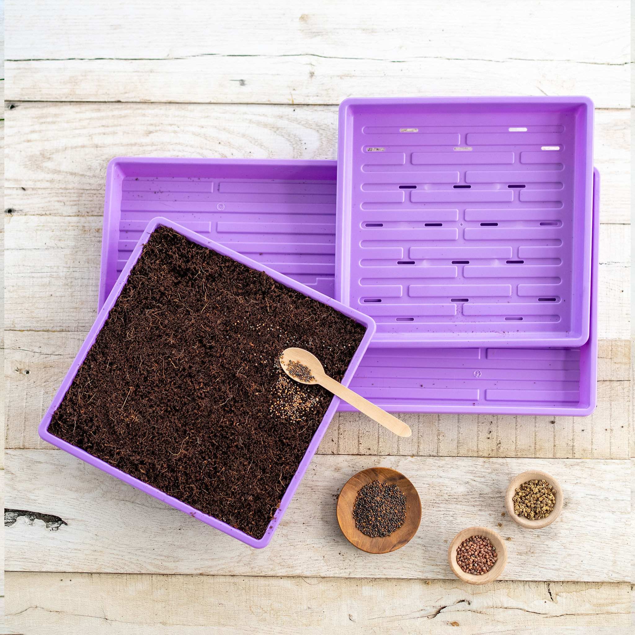 1010 Microgreens Kit - Image 22