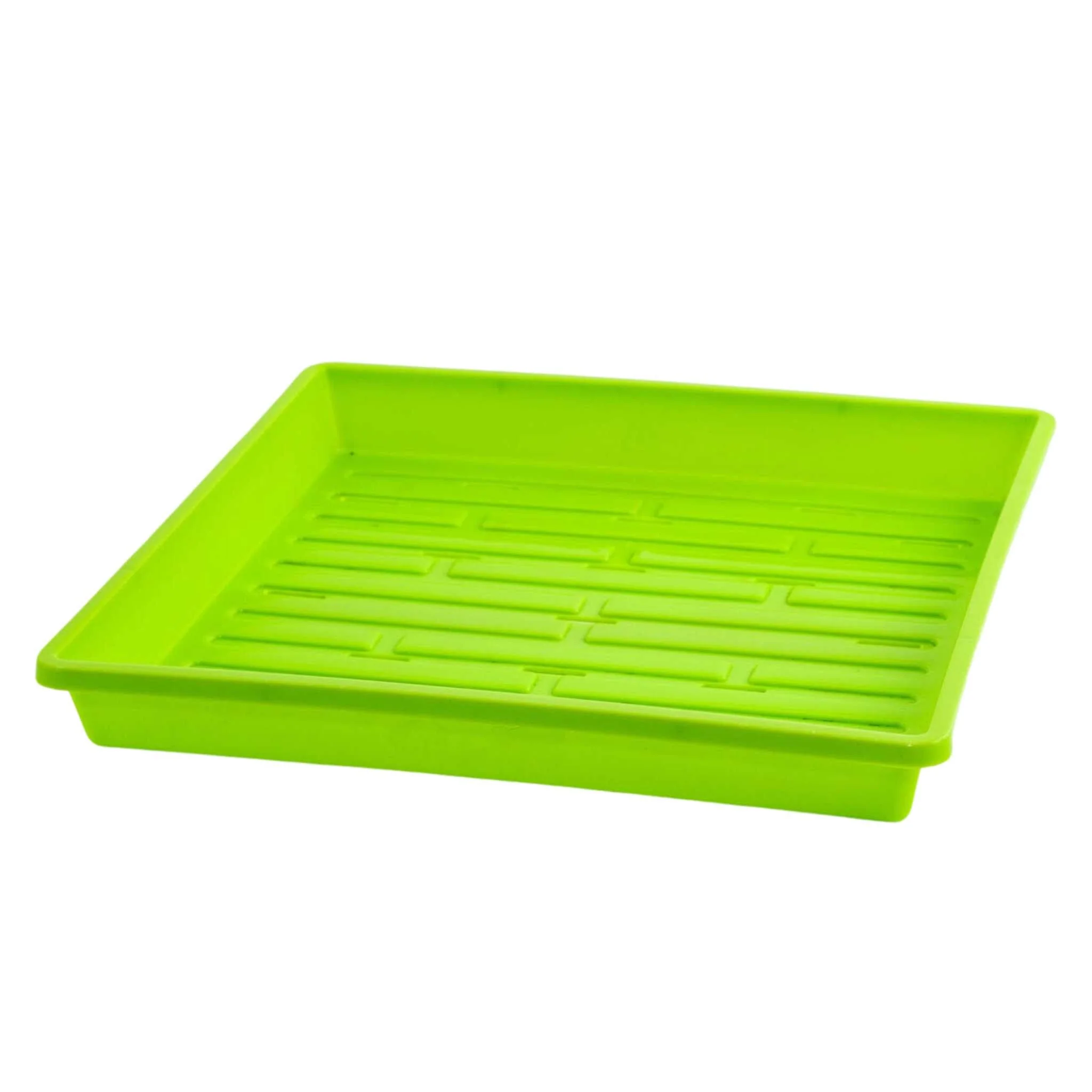 1010 Shallow Seed Trays - Image 11