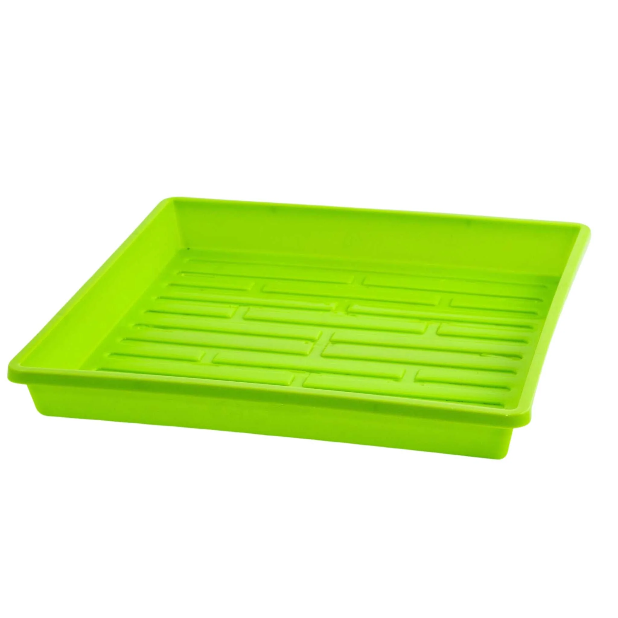 1010 Shallow Seed Trays - Image 12
