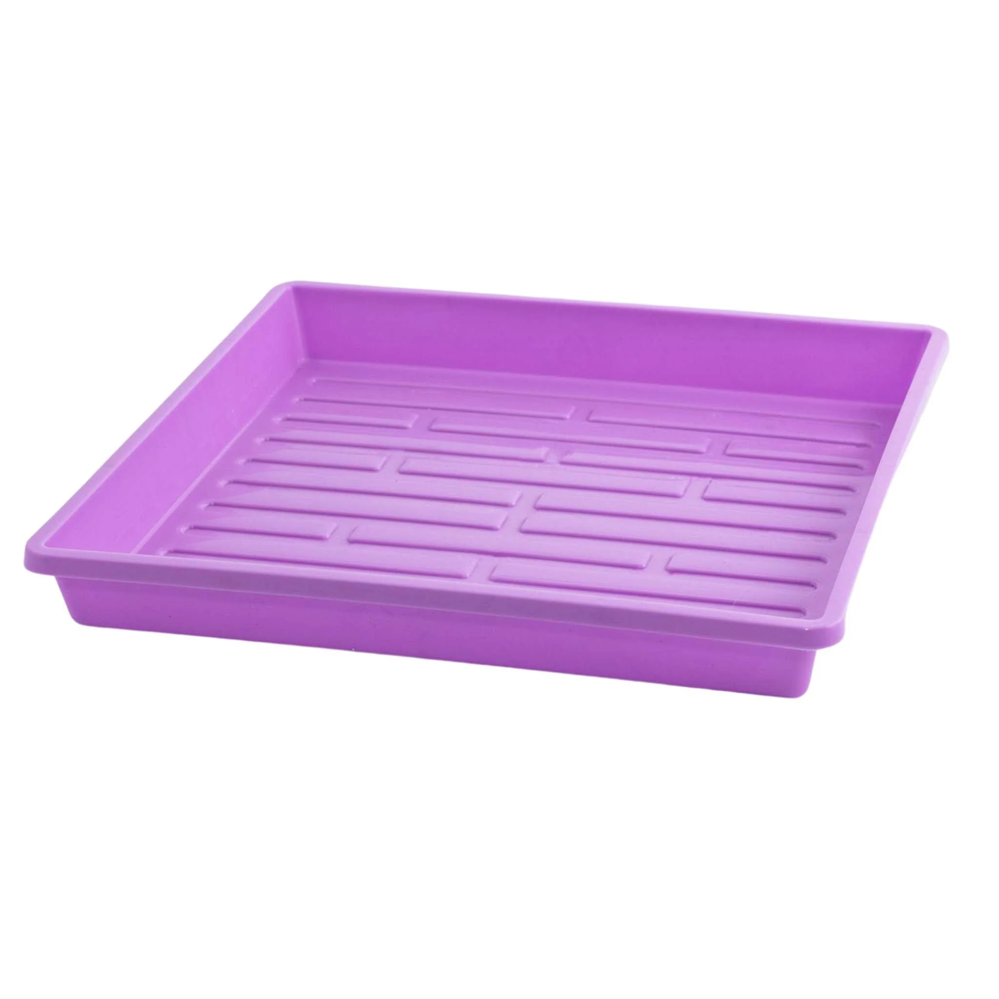 1010 Shallow Seed Trays - Image 13