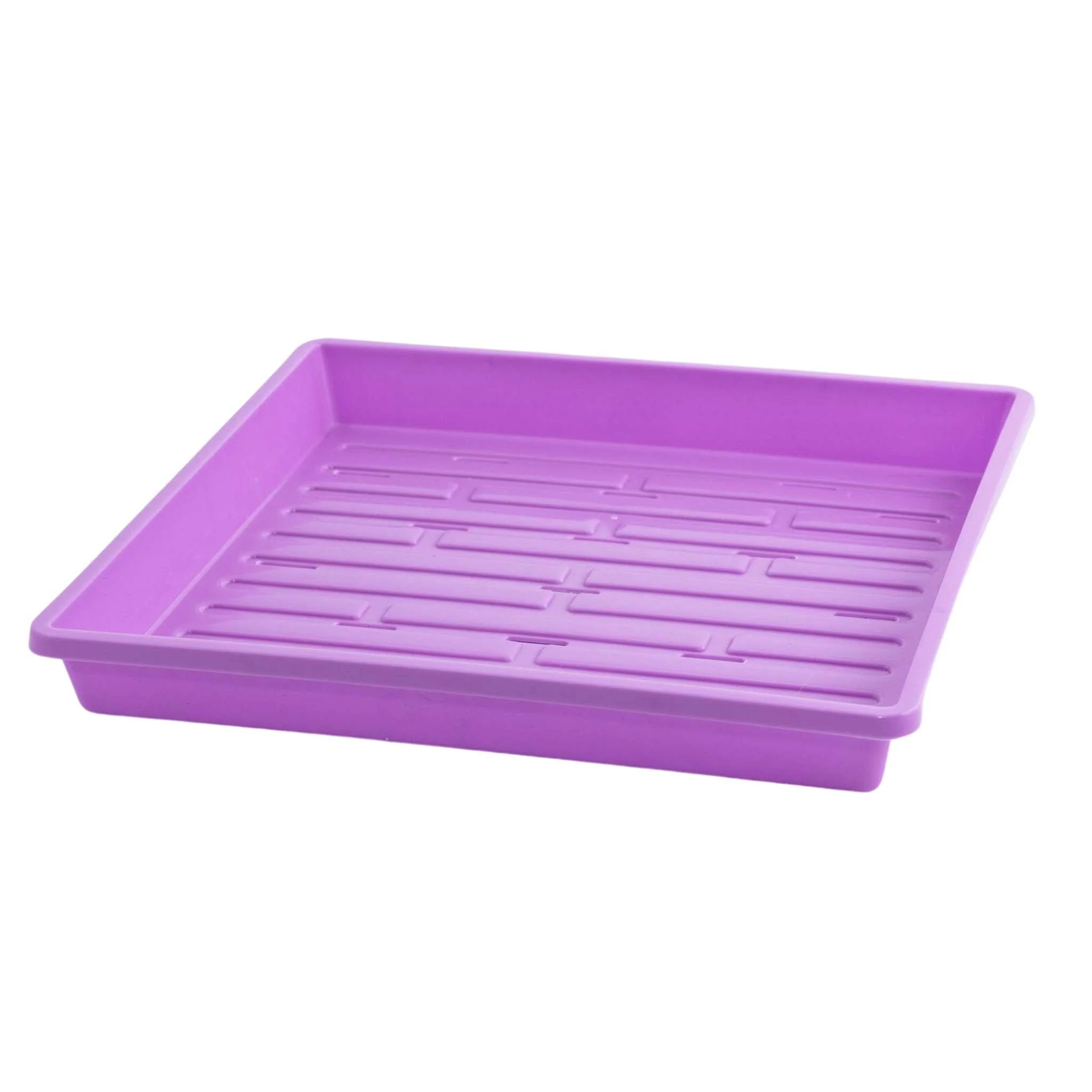 1010 Shallow Seed Trays - Image 14