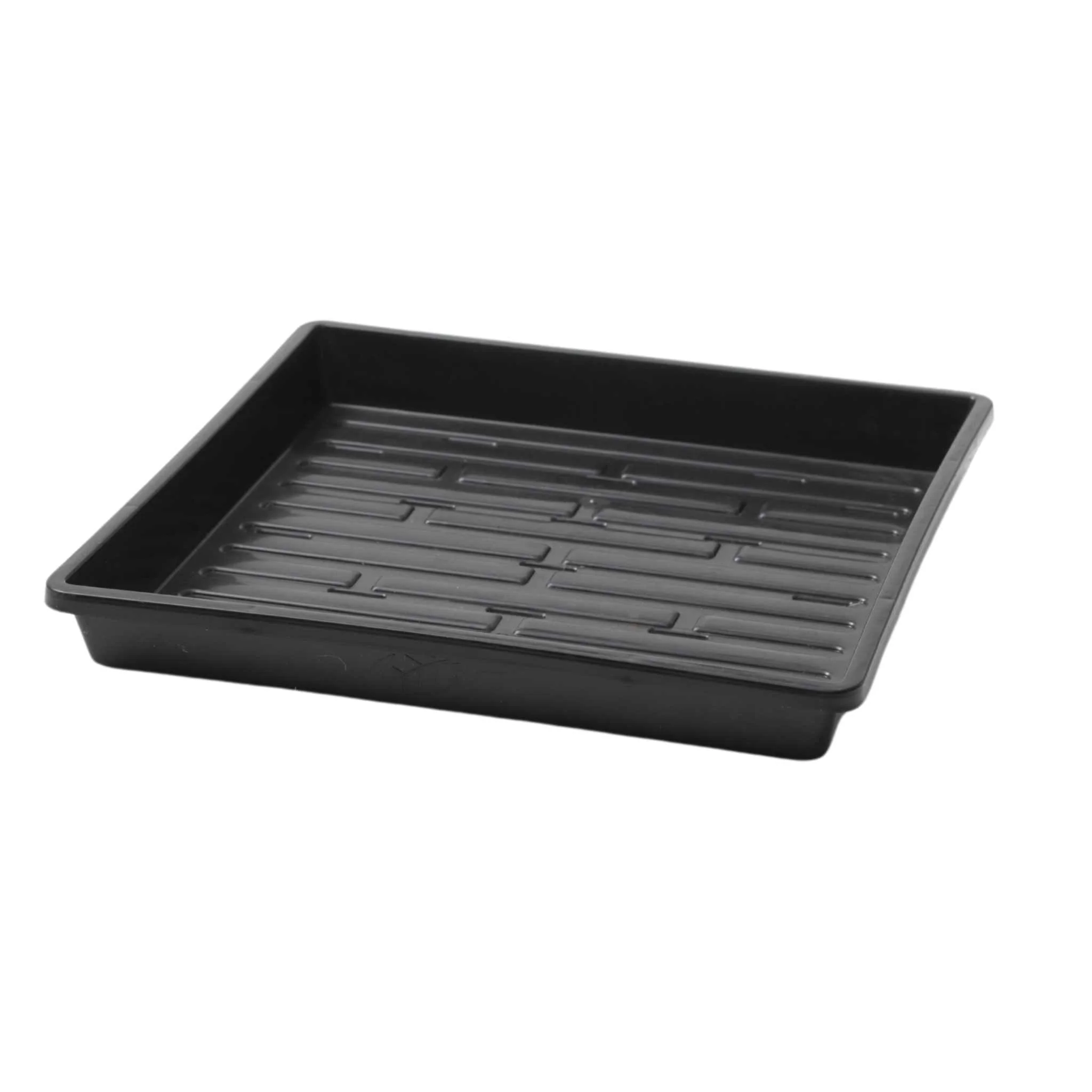 1010 Shallow Seed Trays - Image 15