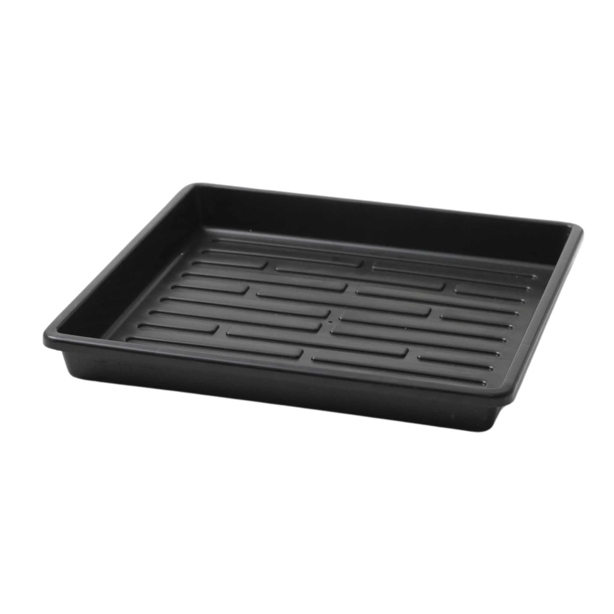 1010 Shallow Seed Trays - Image 16