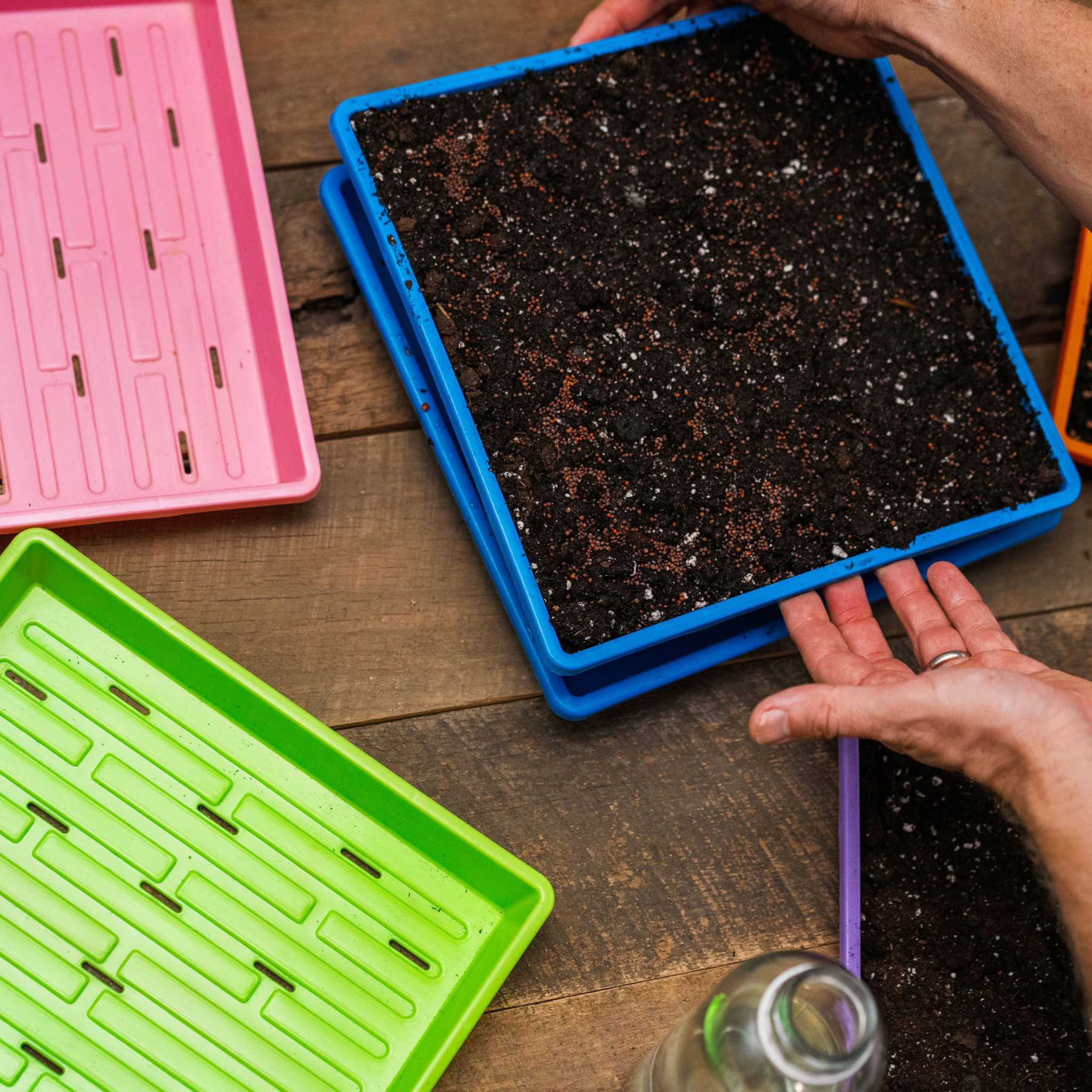 1010 Shallow Seed Trays - Image 2