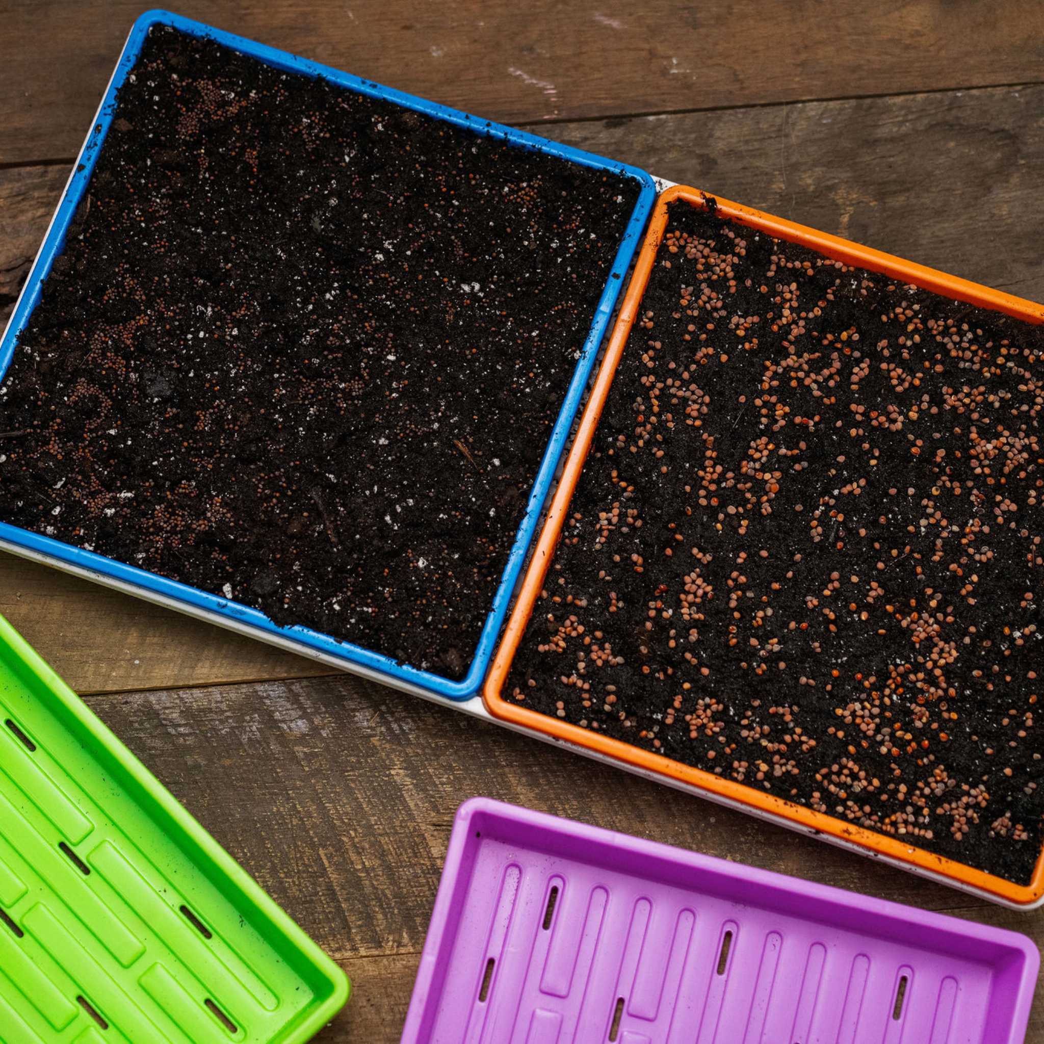 1010 Shallow Seed Trays - Image 4