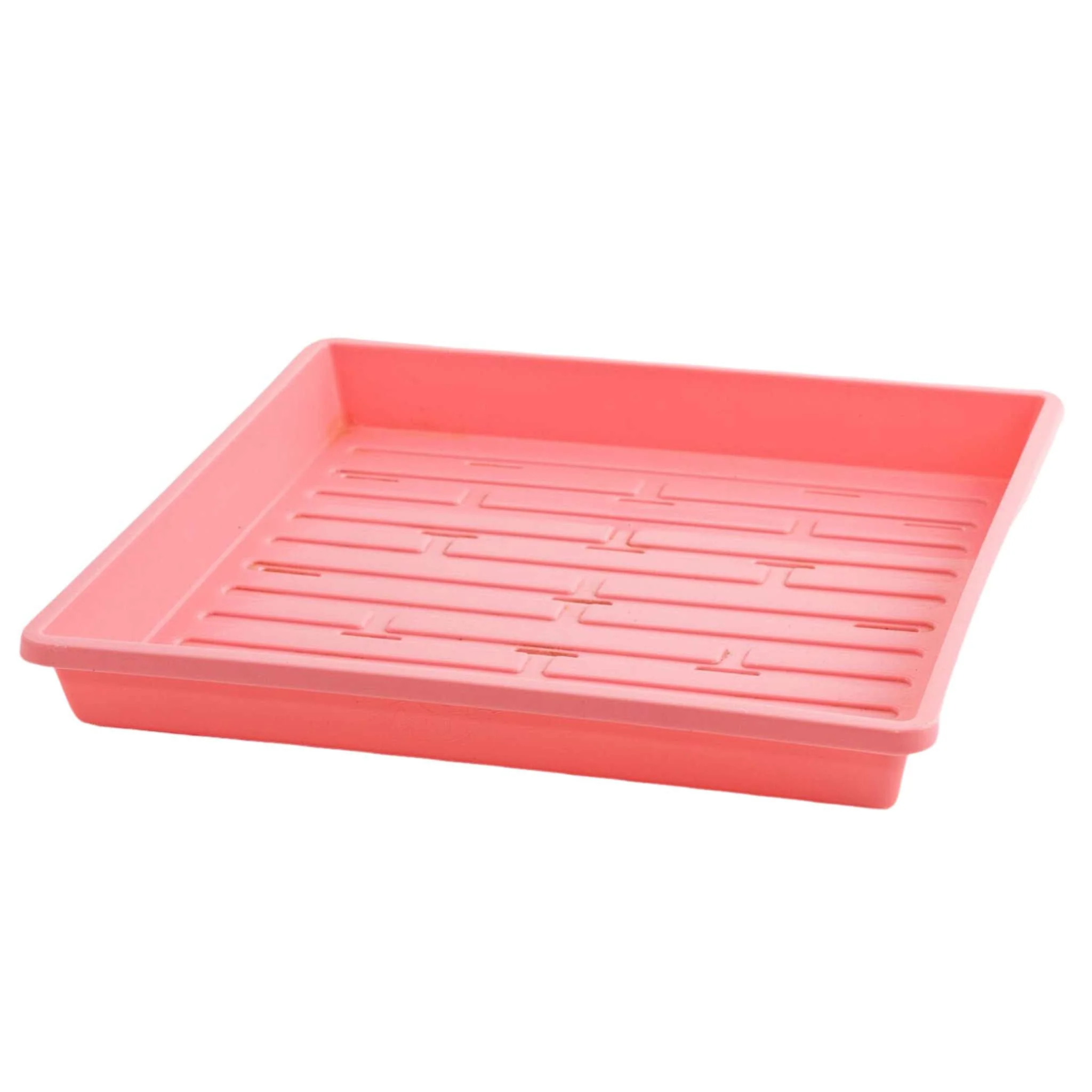 1010 Shallow Seed Trays - Image 5