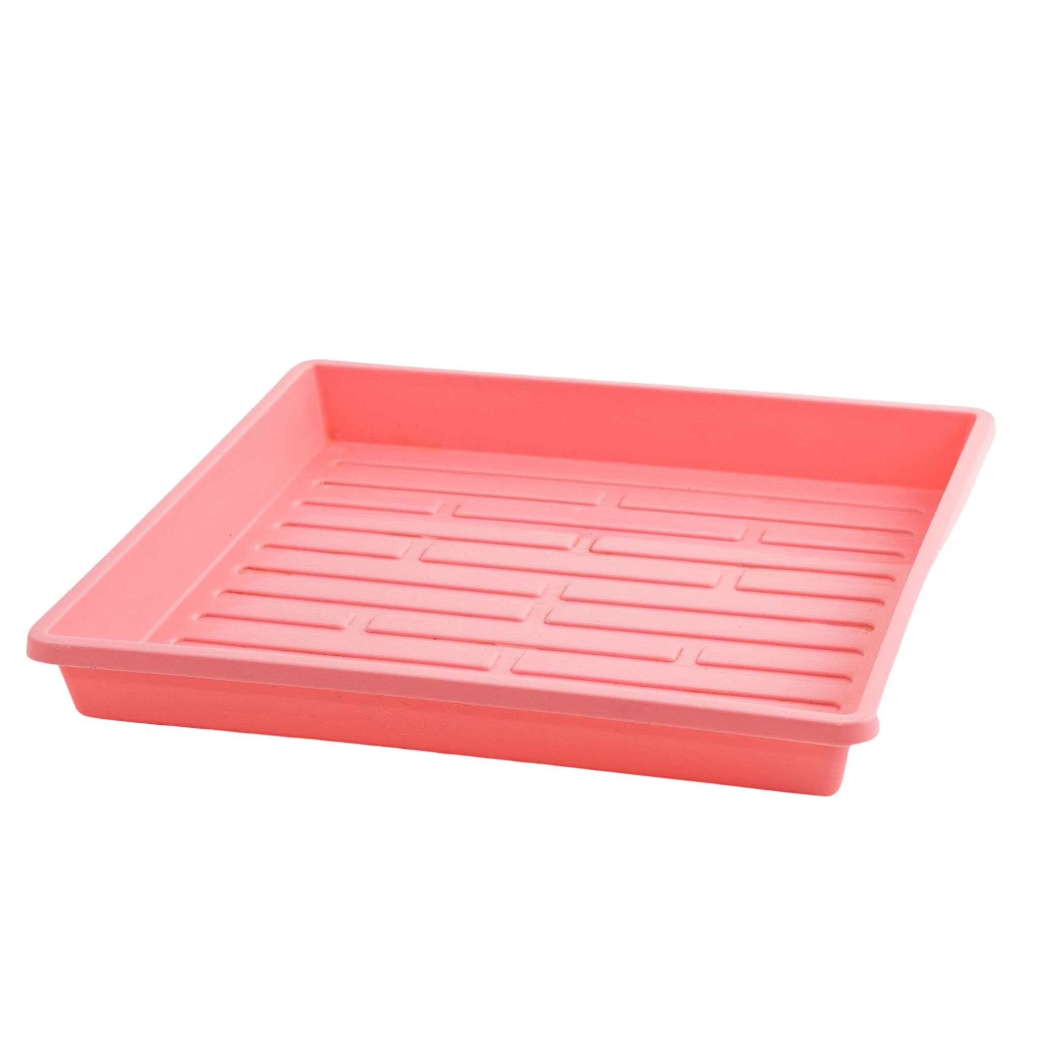 1010 Shallow Seed Trays - Image 6