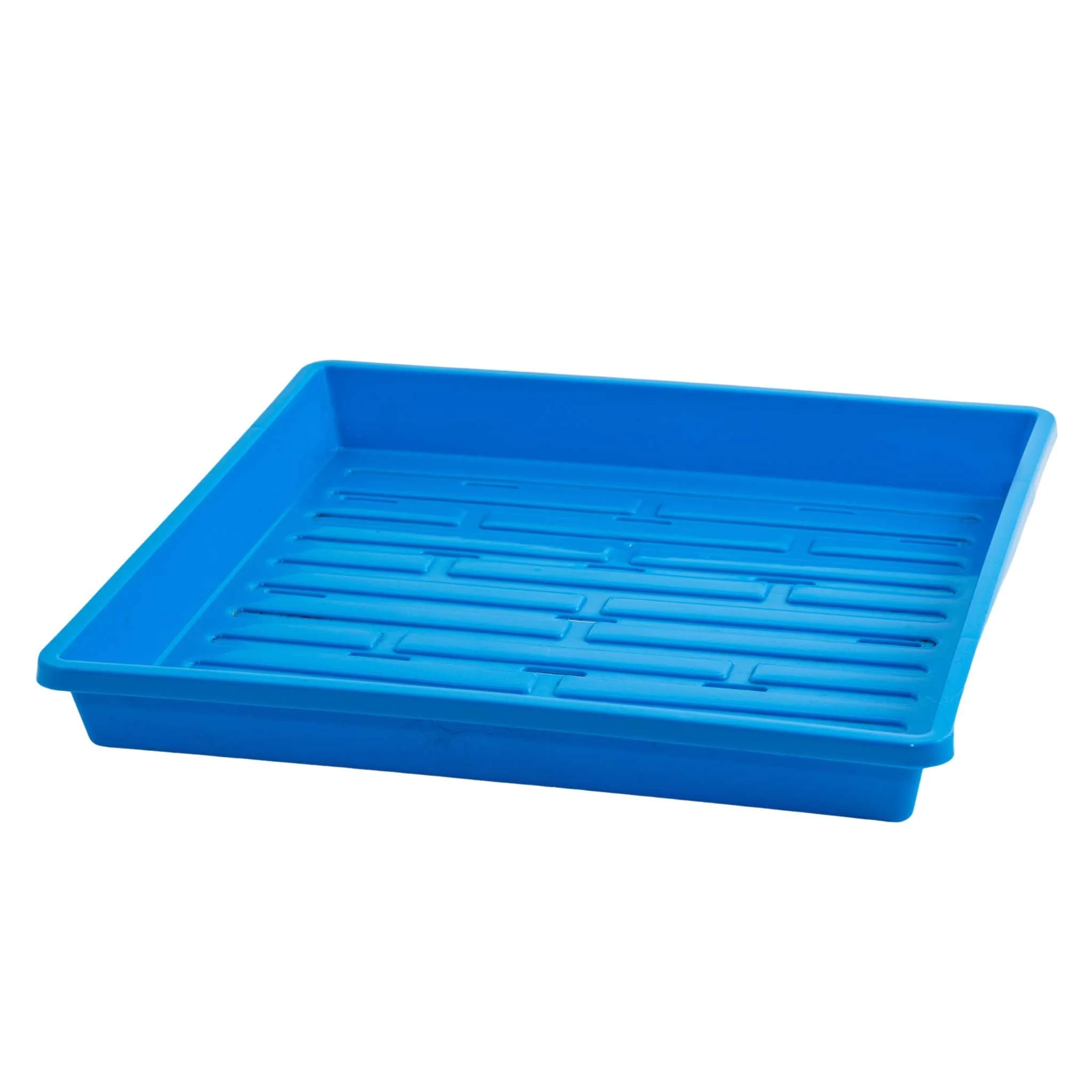 1010 Shallow Seed Trays - Image 7