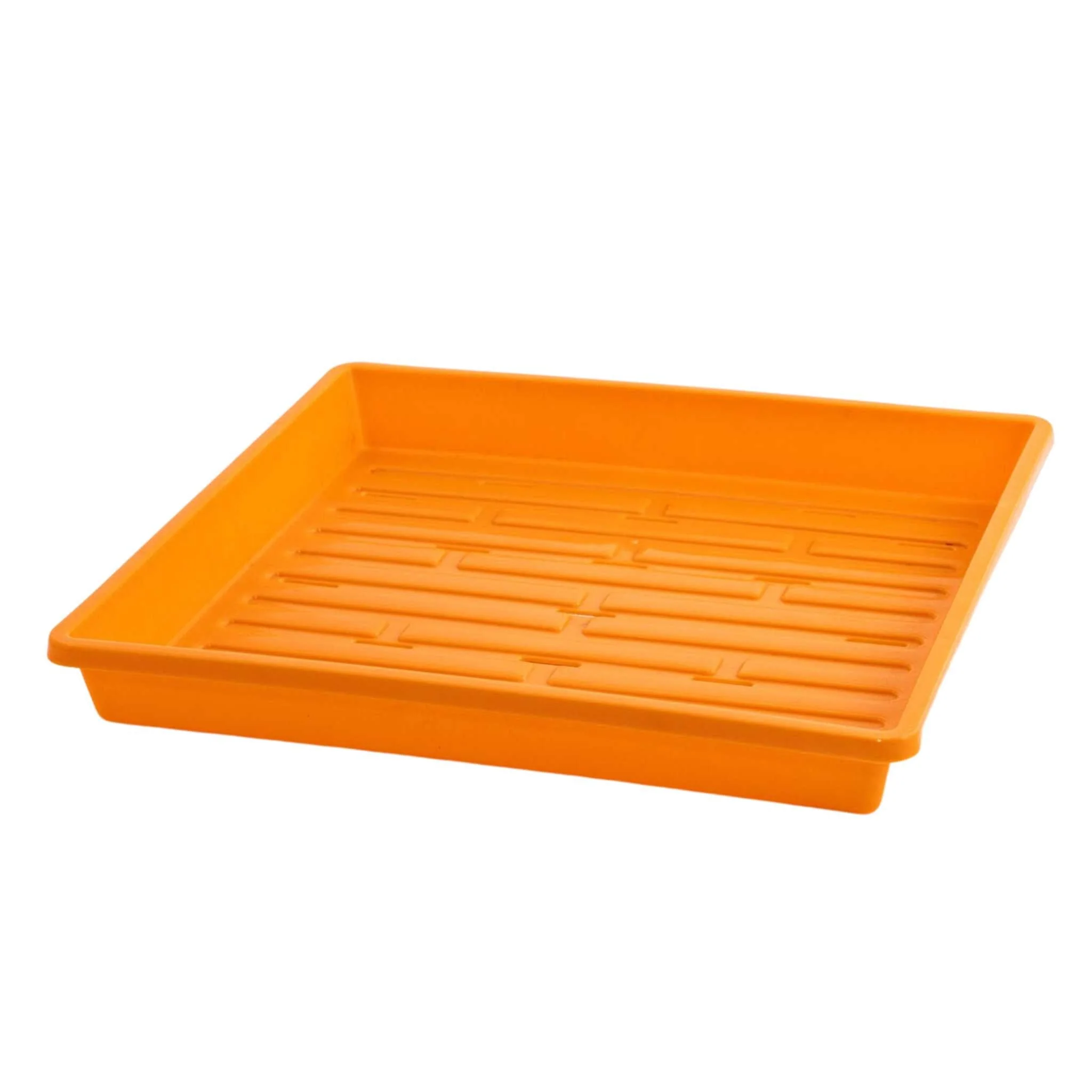 1010 Shallow Seed Trays - Image 9