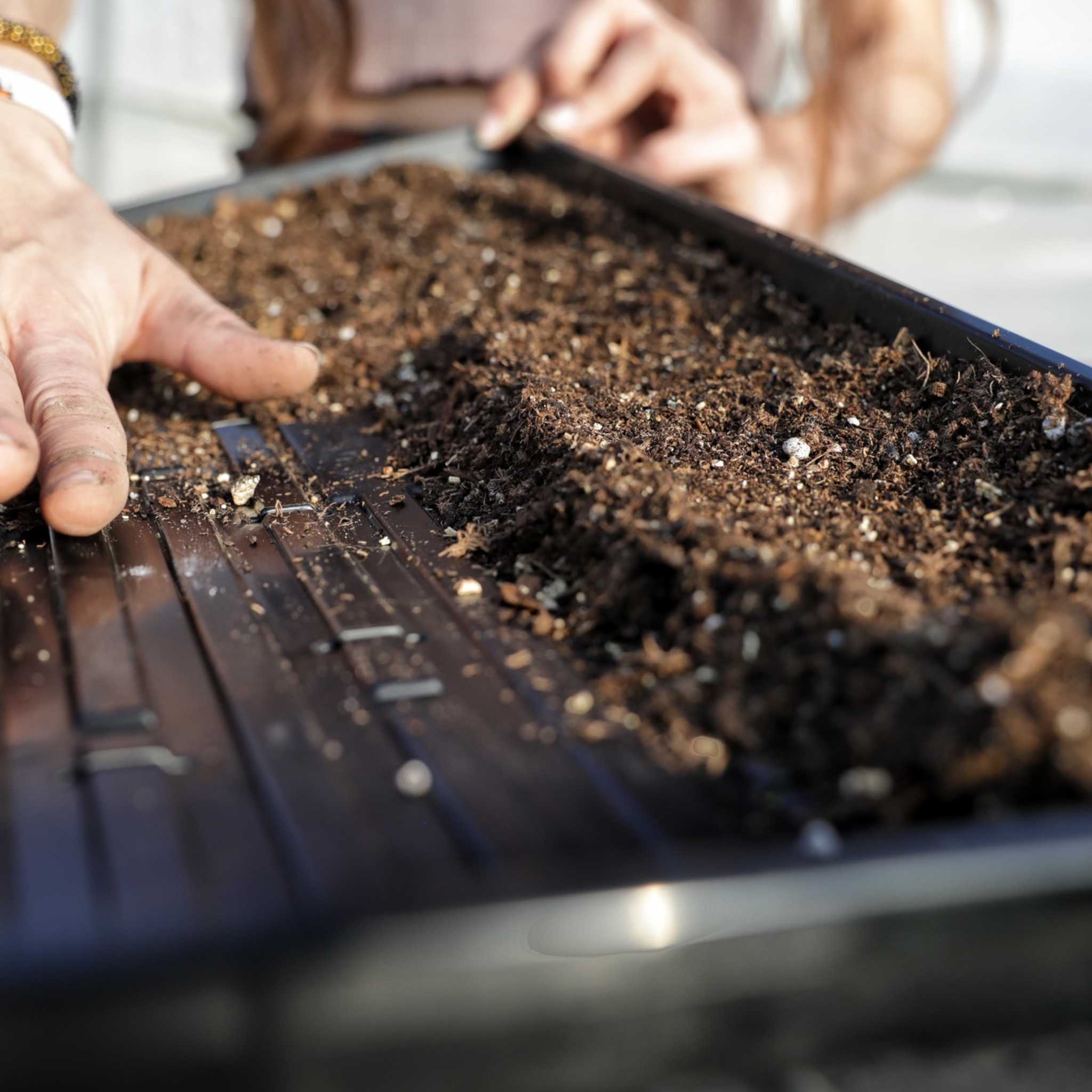 1020 Microgreen Trays | Heavy Duty Shallow 1020 Trays - Image 10