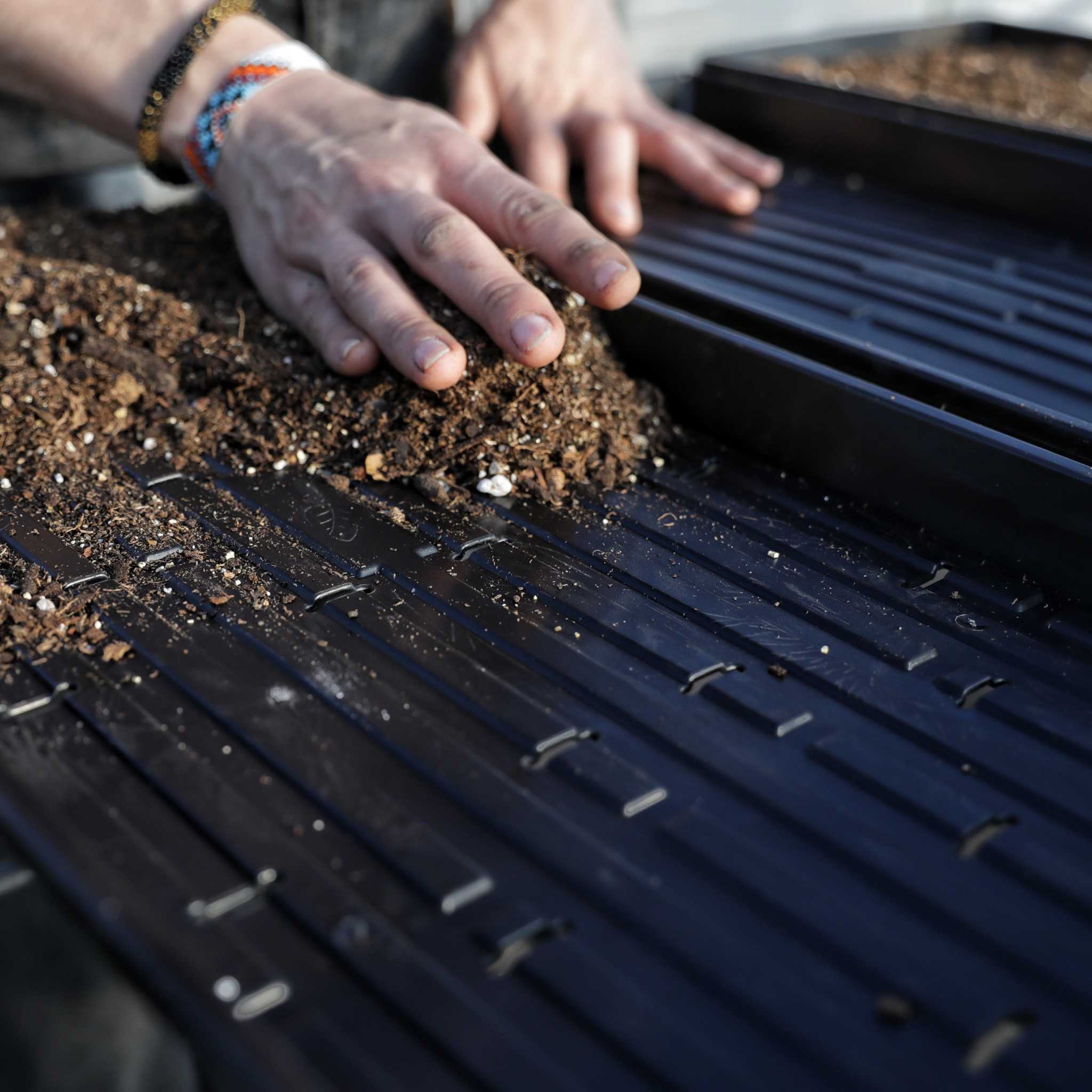 1020 Microgreen Trays | Heavy Duty Shallow 1020 Trays - Image 2