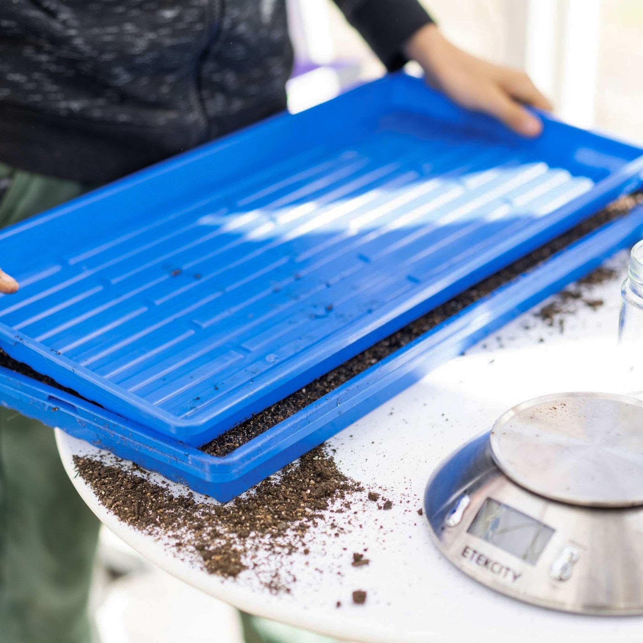 1020 Microgreen Trays - Shallow Extra Strength Colors - Image 18