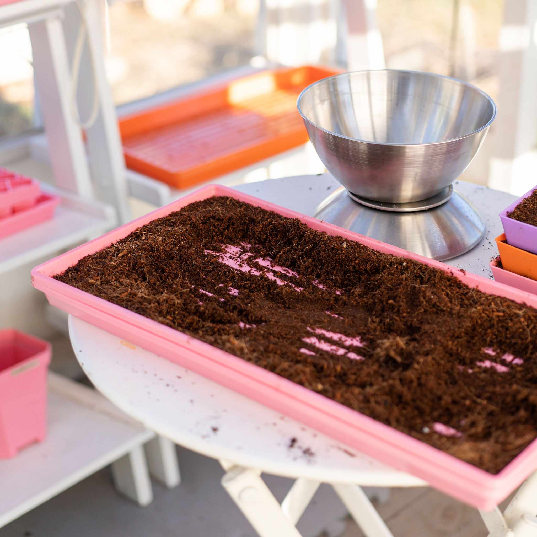 1020 Microgreen Trays - Shallow Extra Strength Colors - Image 22