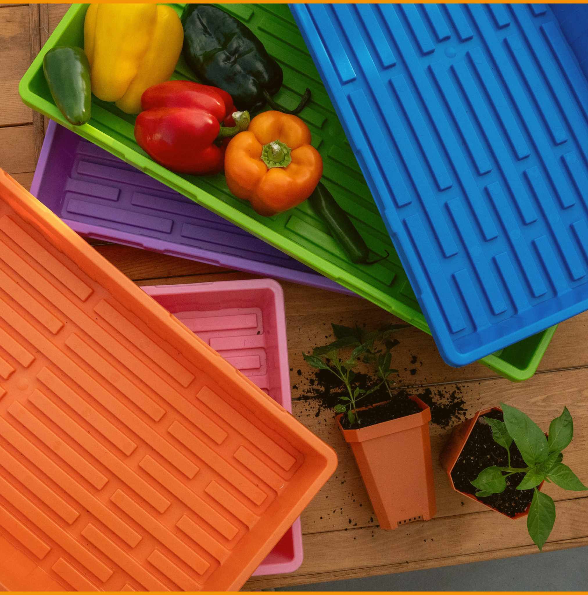 1020 Seed Starting Trays - Colored - Image 18
