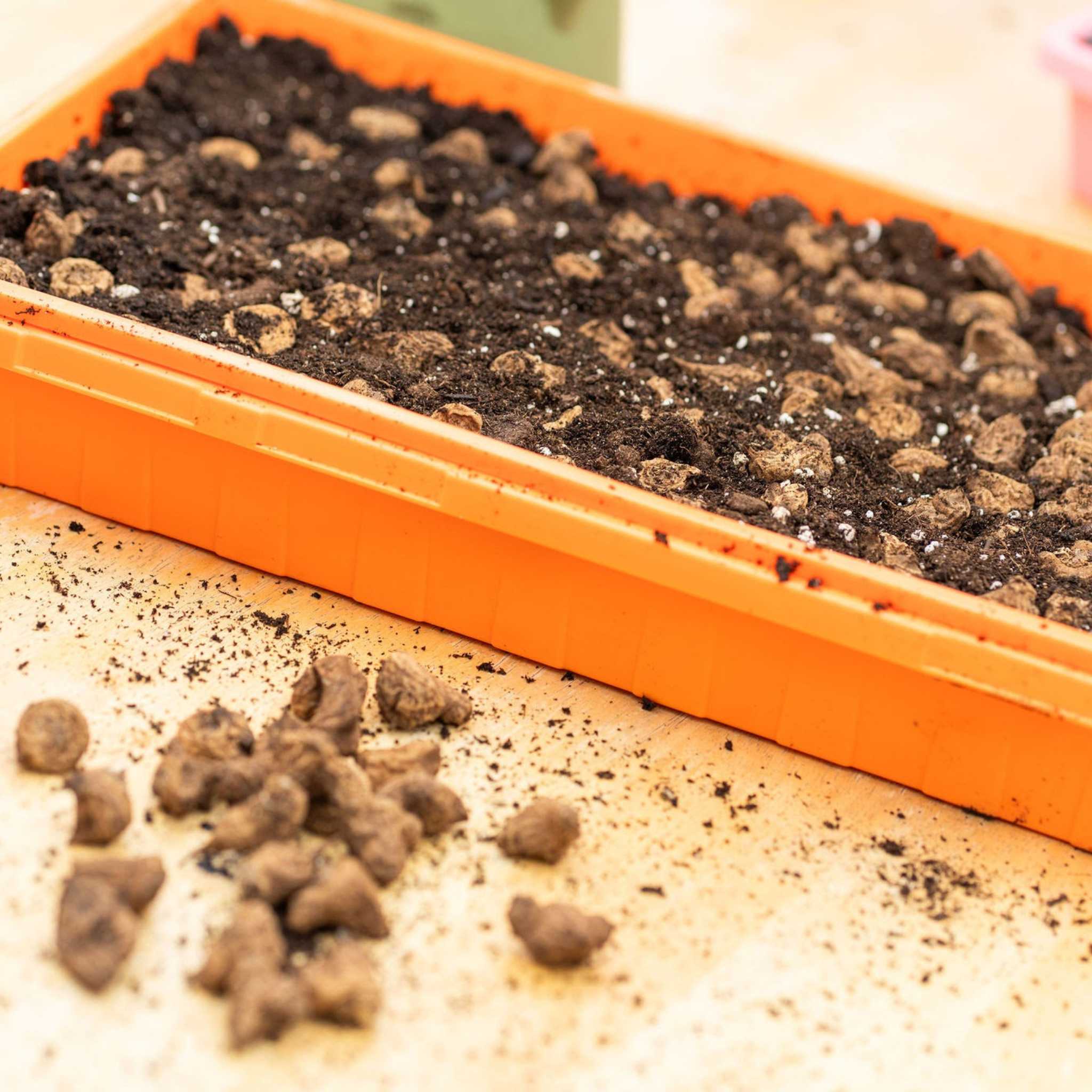 1020 Seed Starting Trays - Colored - Image 6