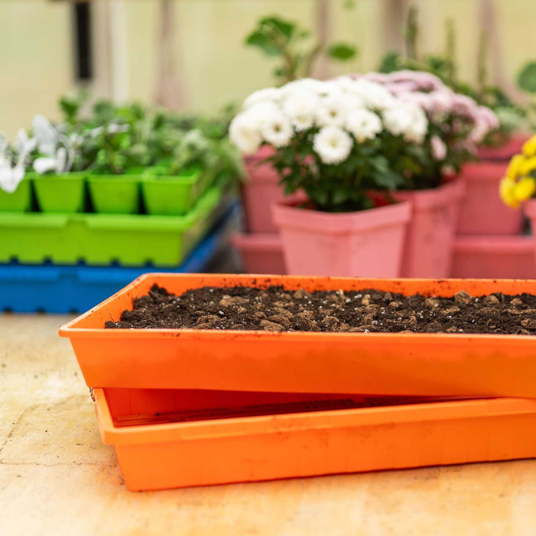 1020 Seed Starting Trays - Colored - Image 8
