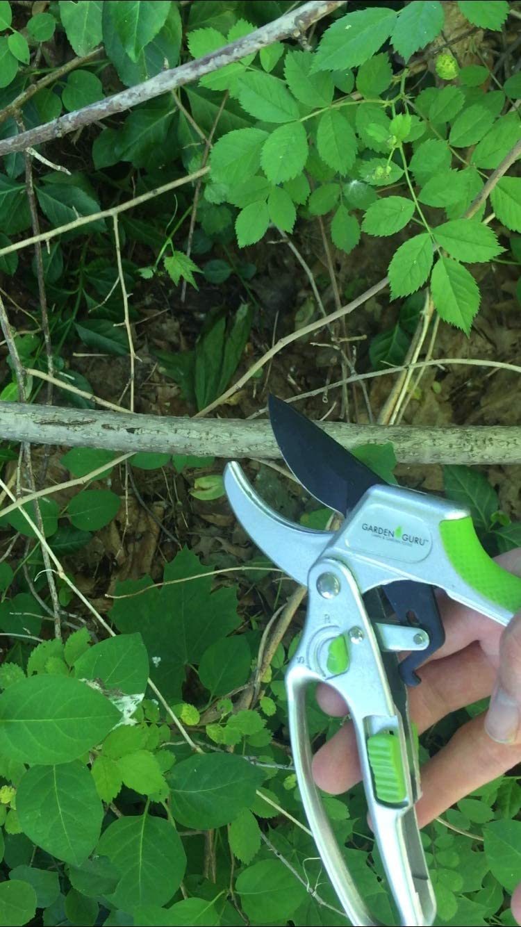 2-in-1 Garden Ratchet Pruning Shears Clippers - Image 7