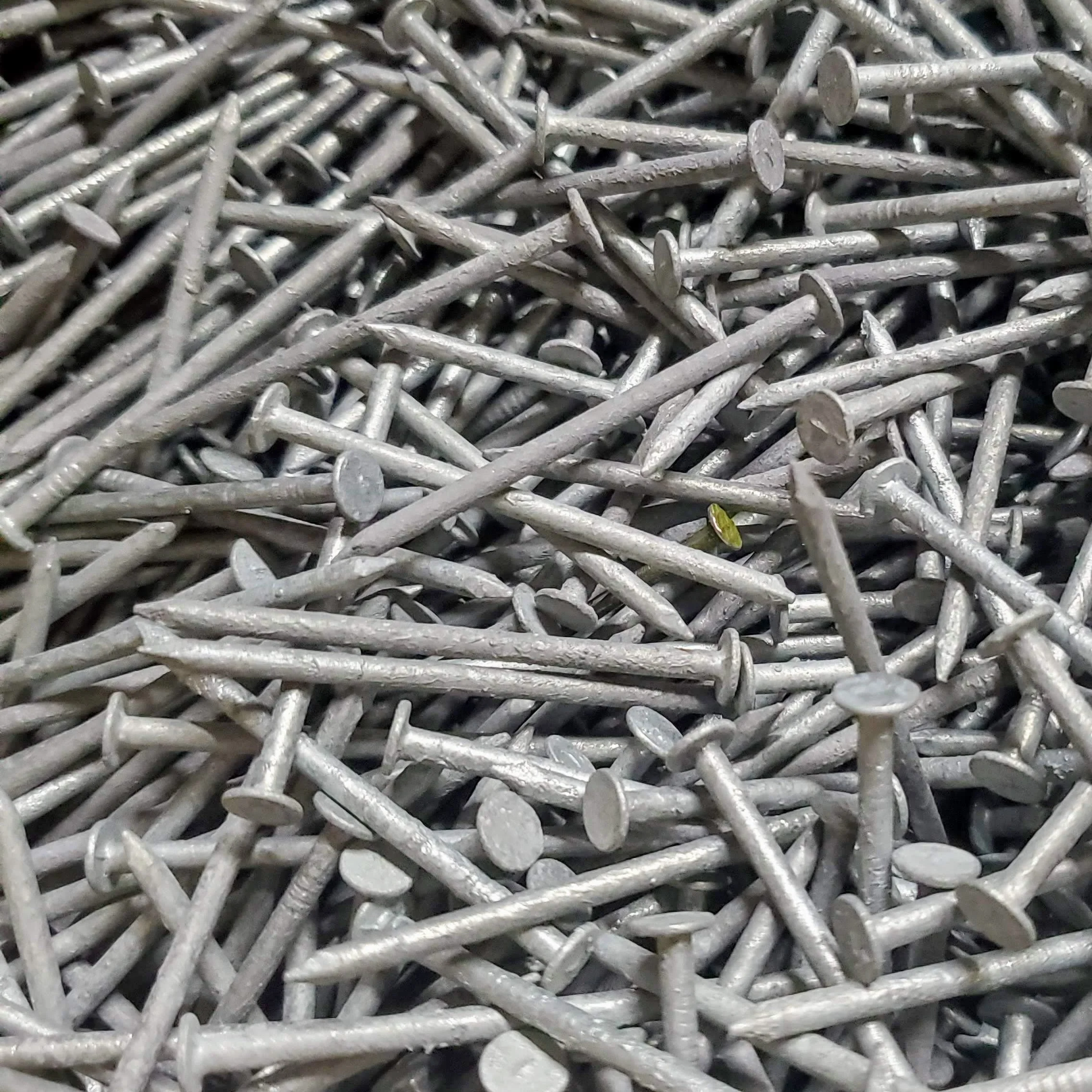 2-inch Nails for Boxes - Image 2