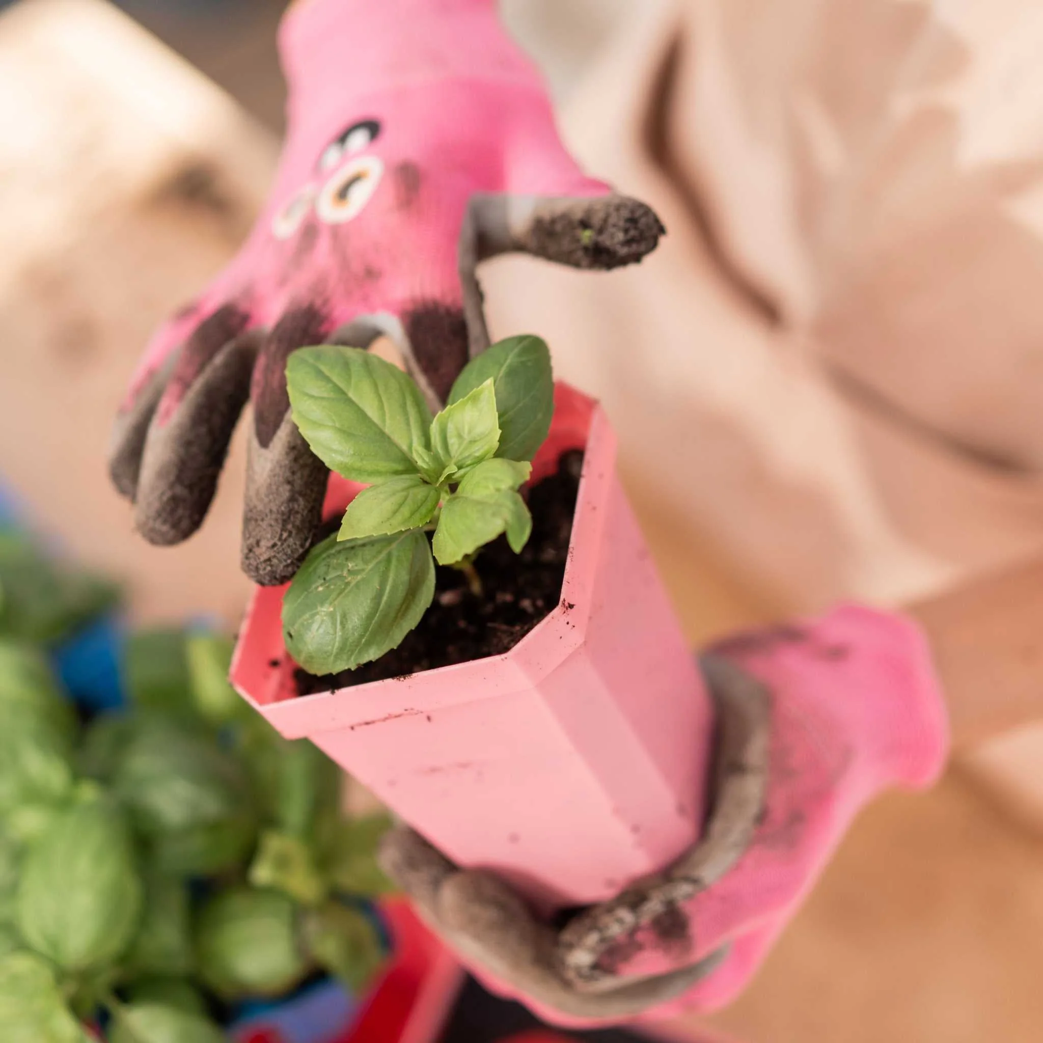 3.3" Heavy Duty Seed Starting Pots - Image 19