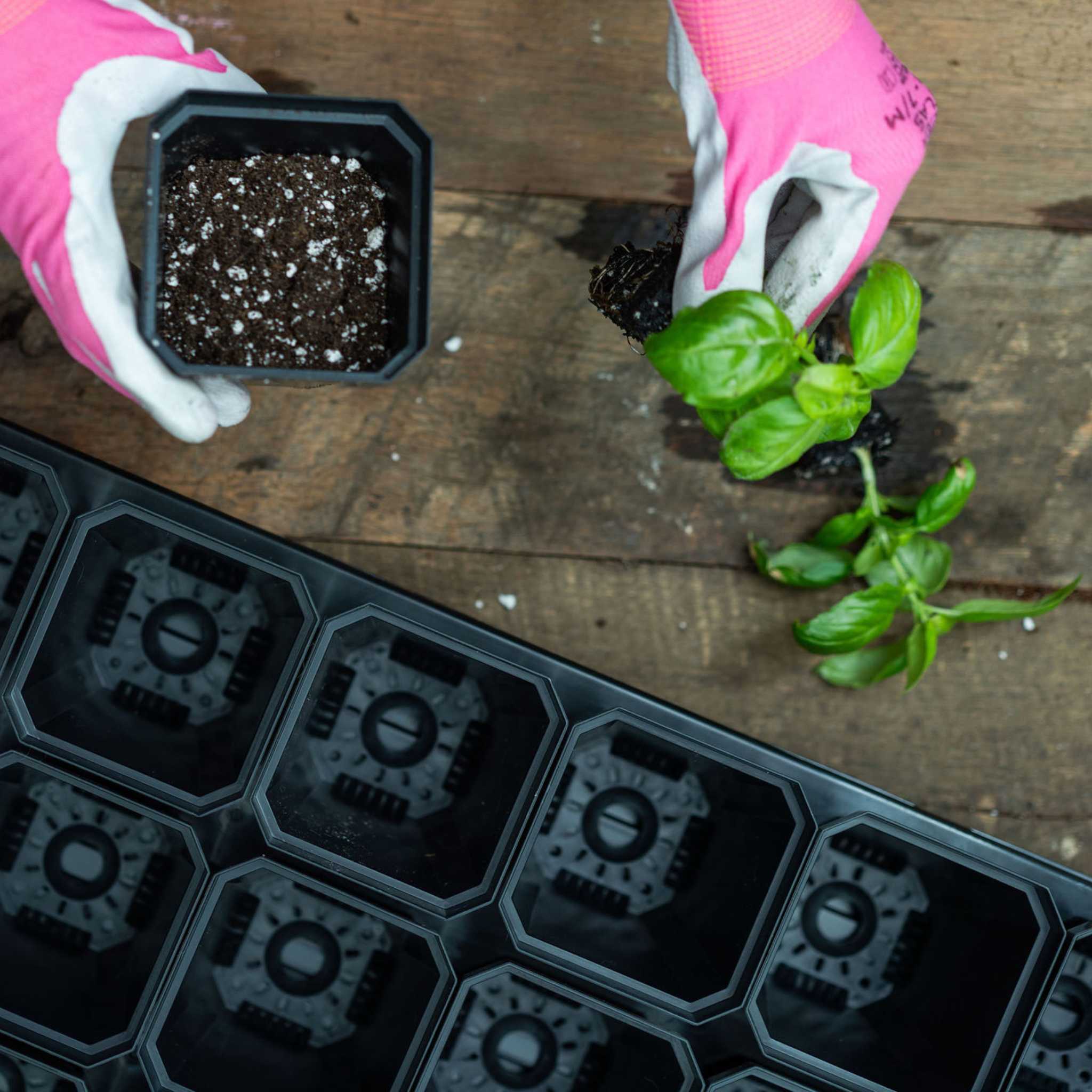 3.3" Heavy Duty Seed Starting Pots - Image 4