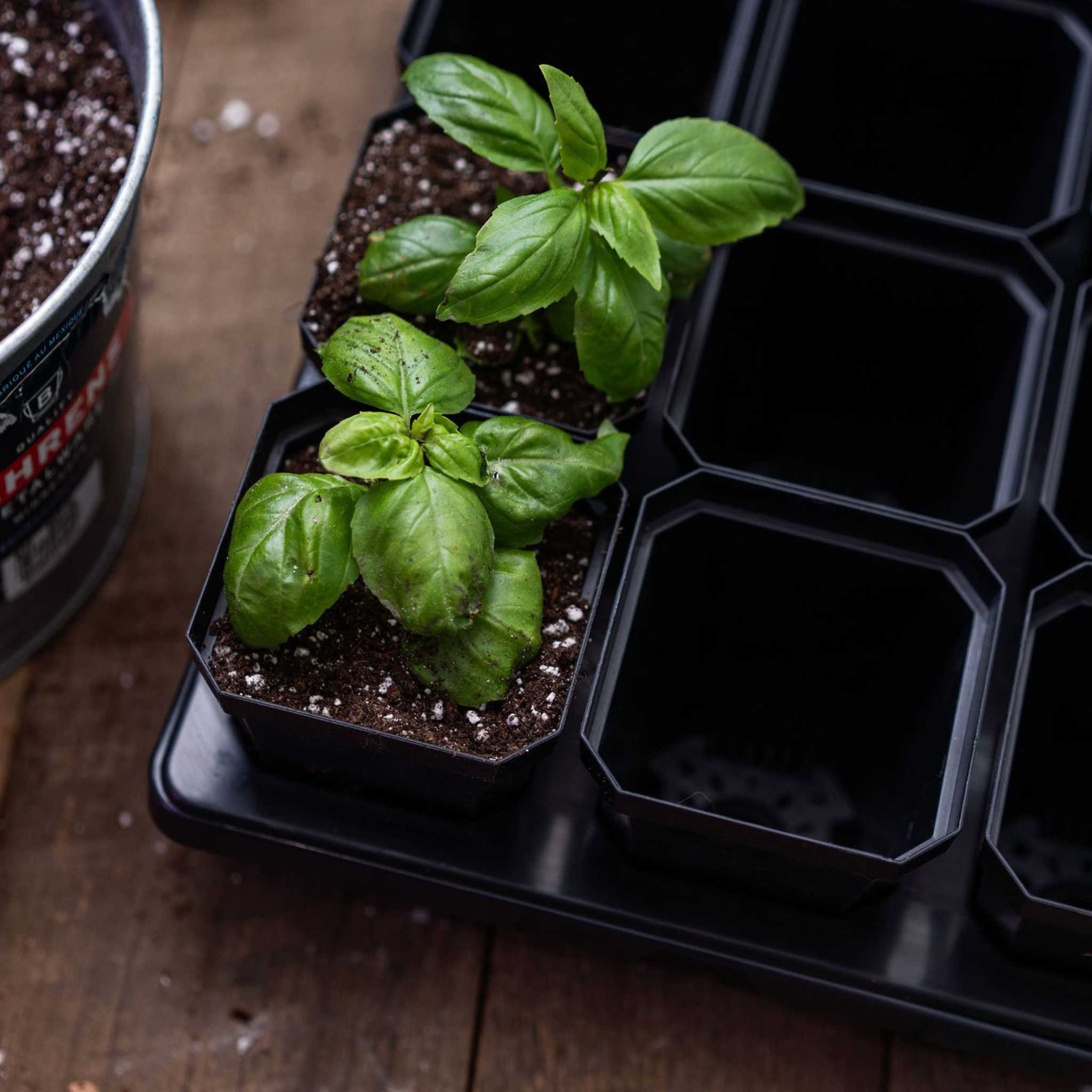 3.3" Heavy Duty Seed Starting Pots - Image 5