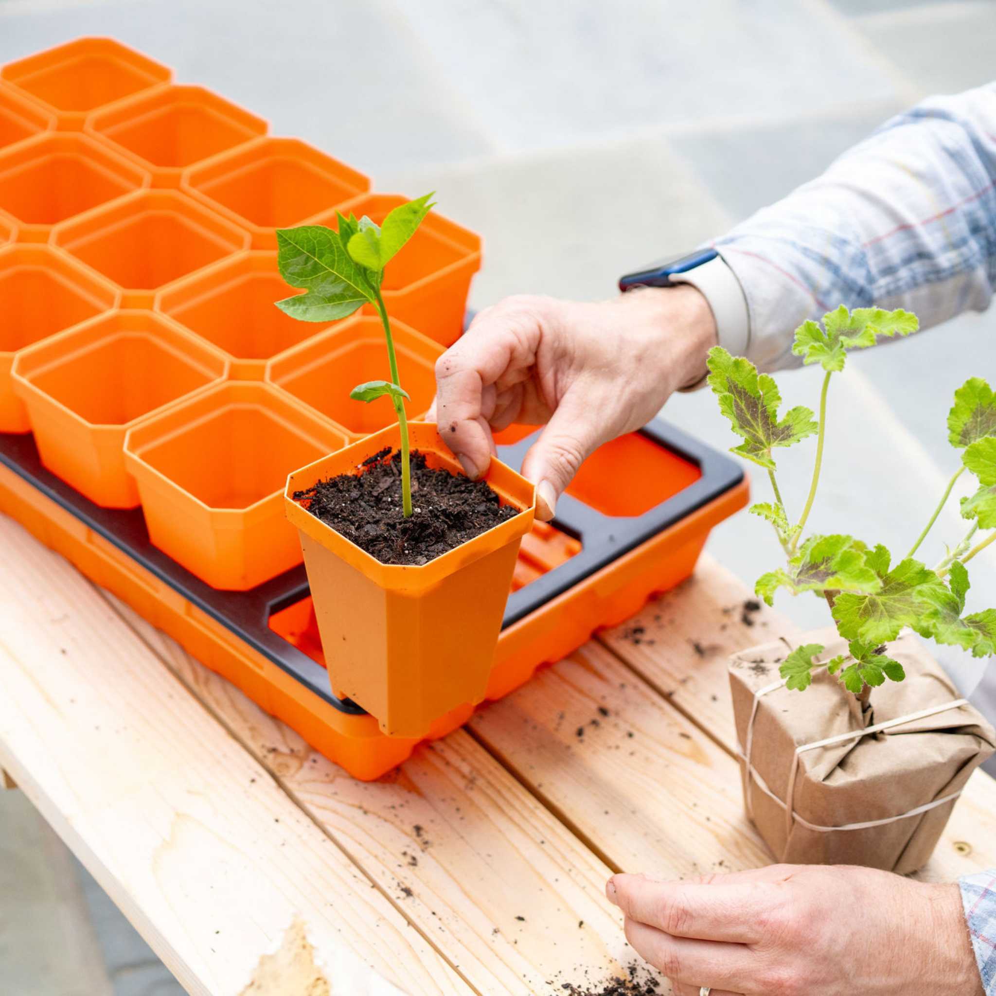 3.3" Heavy Duty Seed Starting Pots with Inserts - Image 24