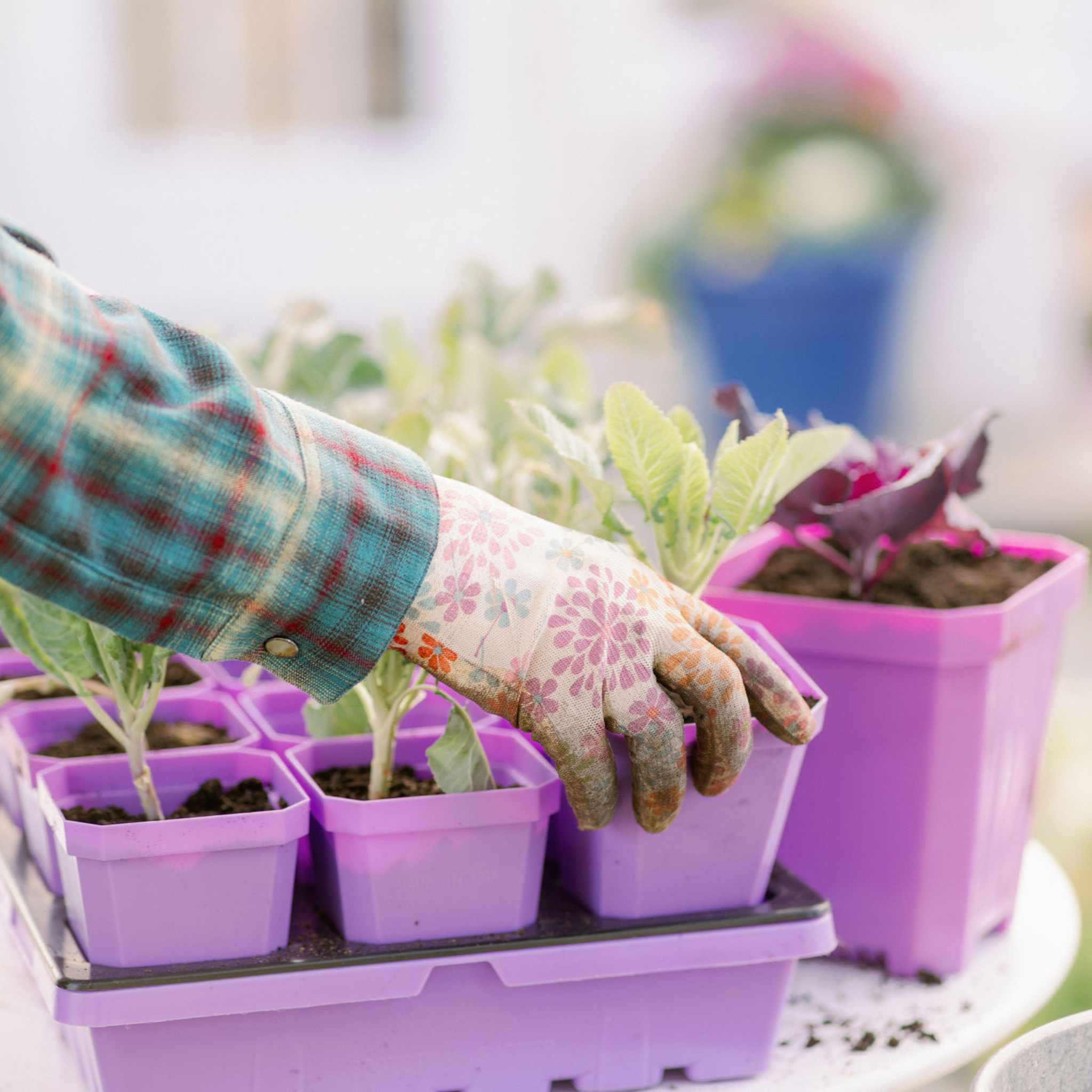 3.3" Heavy Duty Seed Starting Pots with Inserts - Image 30