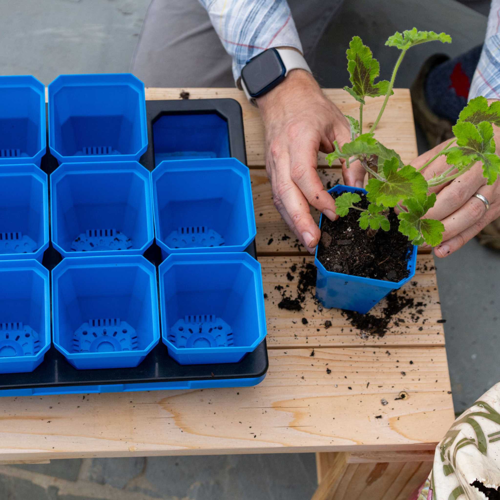 3.3" Heavy Duty Seed Starting Pots with Inserts - Image 8