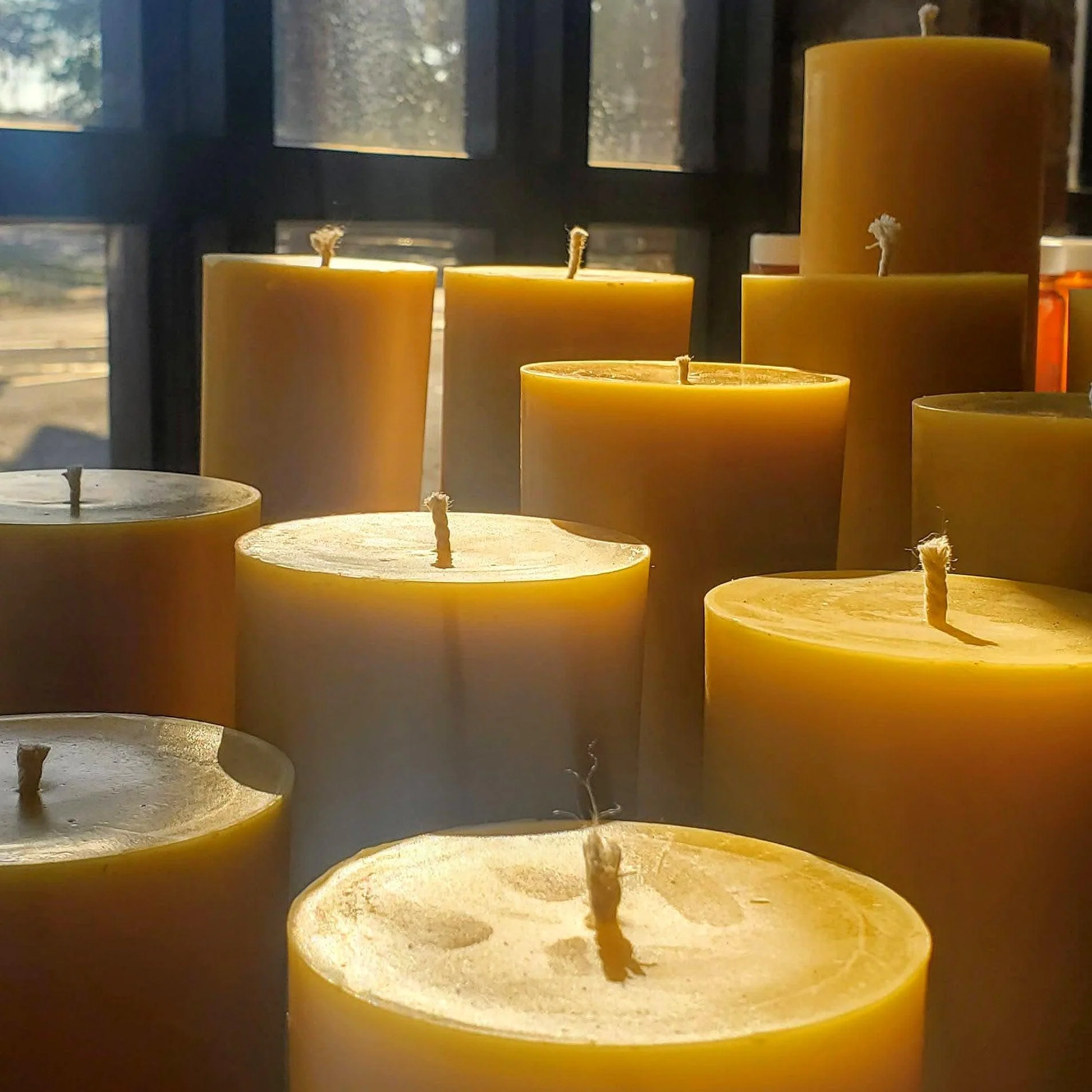 3-Inch Wide Beeswax Pillar Candles - Image 5