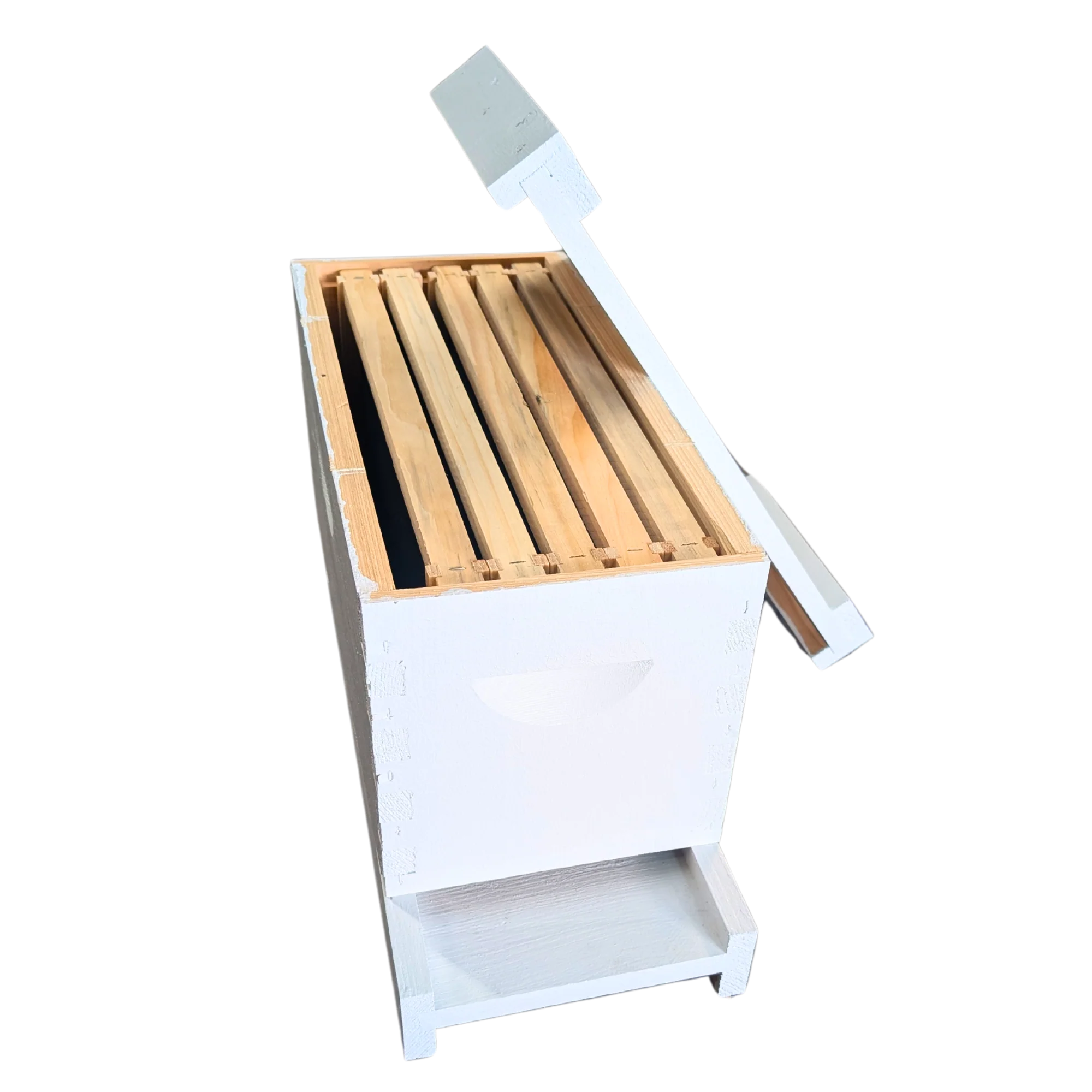 5-Frame Complete, Deep 9 5/8-inch Box with Frames and Foundation - Image 17