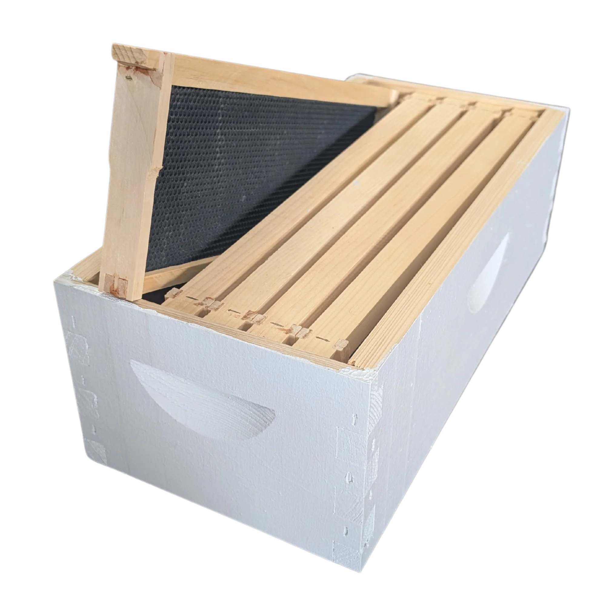 5-Frame Complete, Medium 6 5/8-inch Box with Frames and Foundation - Image 22