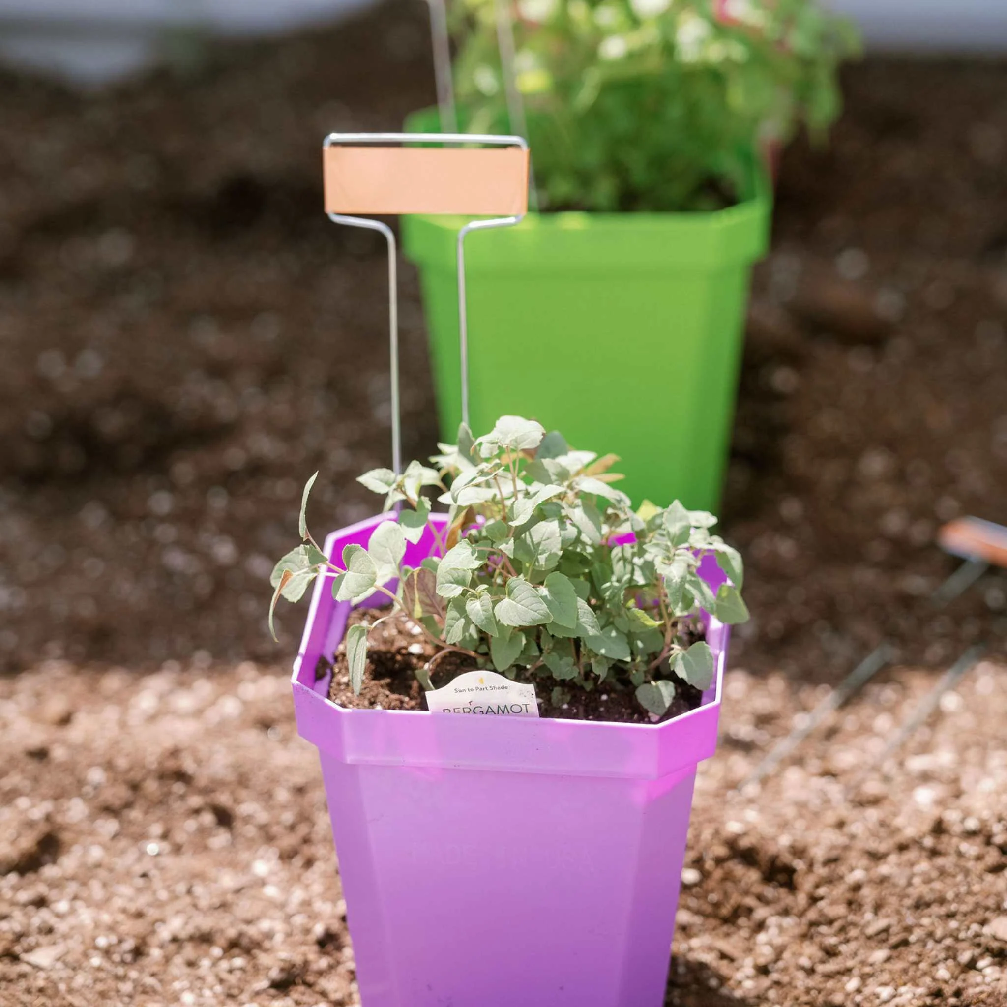 5" Heavy Duty Nursery Pots - Image 16