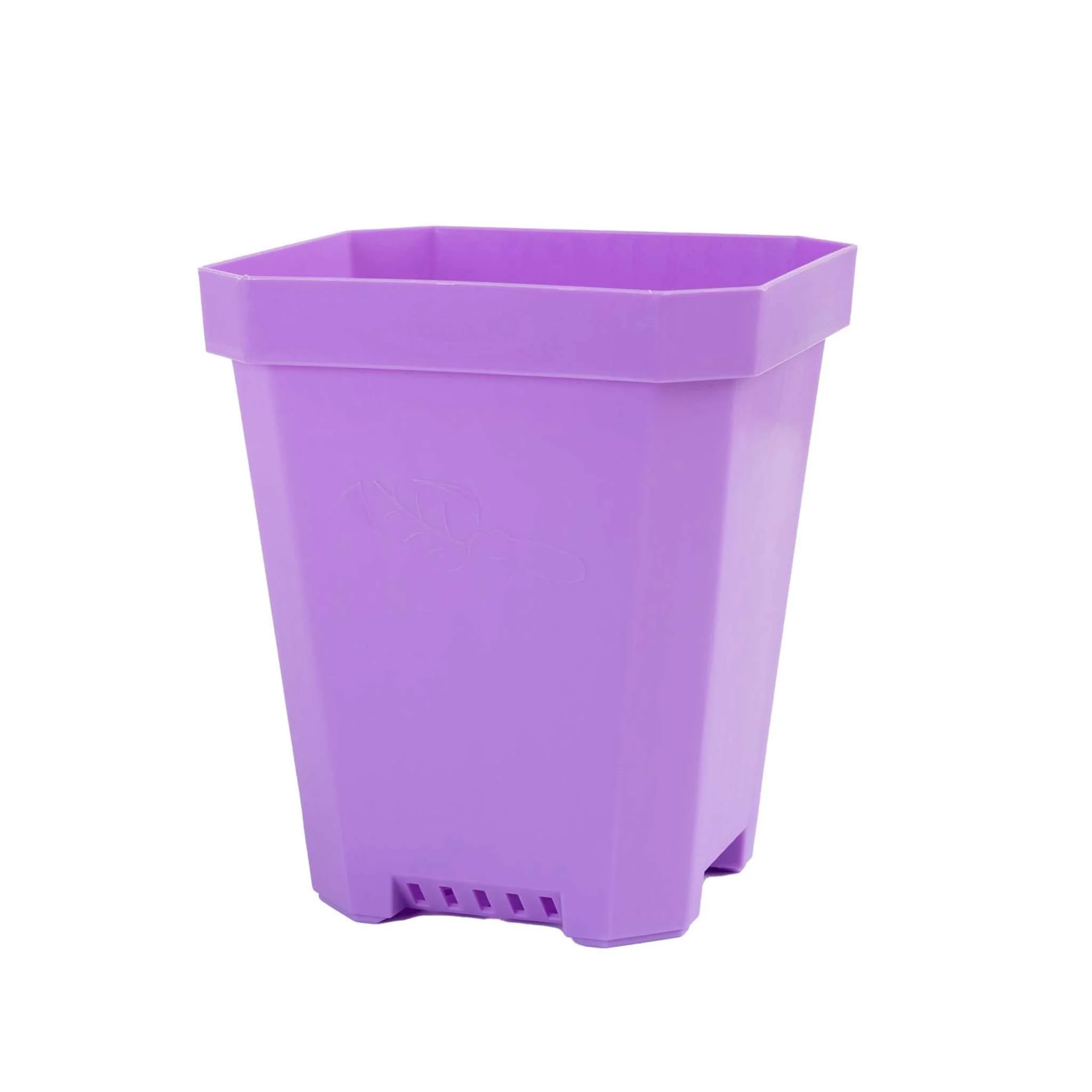 5" Nursery Pots with Insert Tray - Image 22