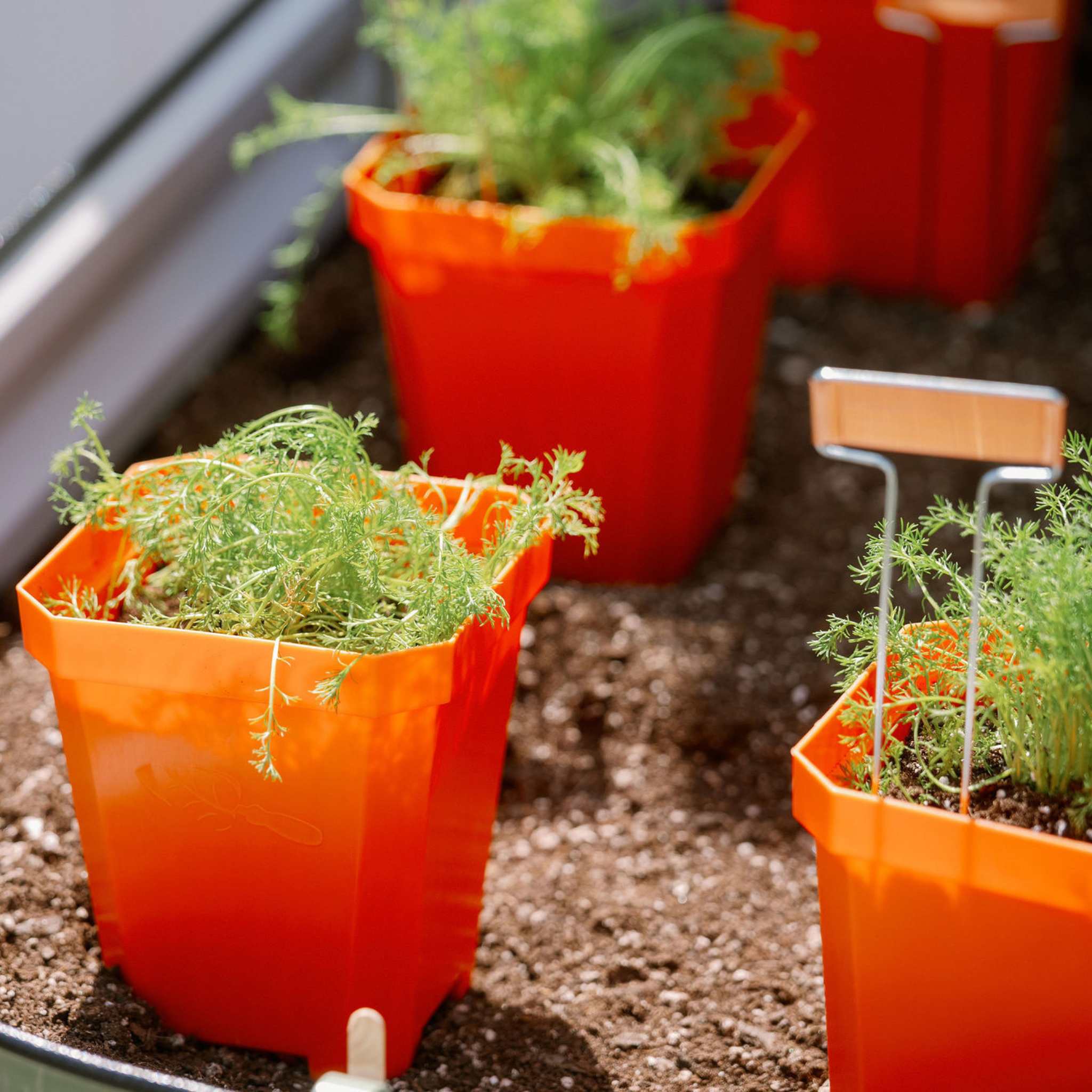 5" Nursery Pots with Insert Tray - Image 25