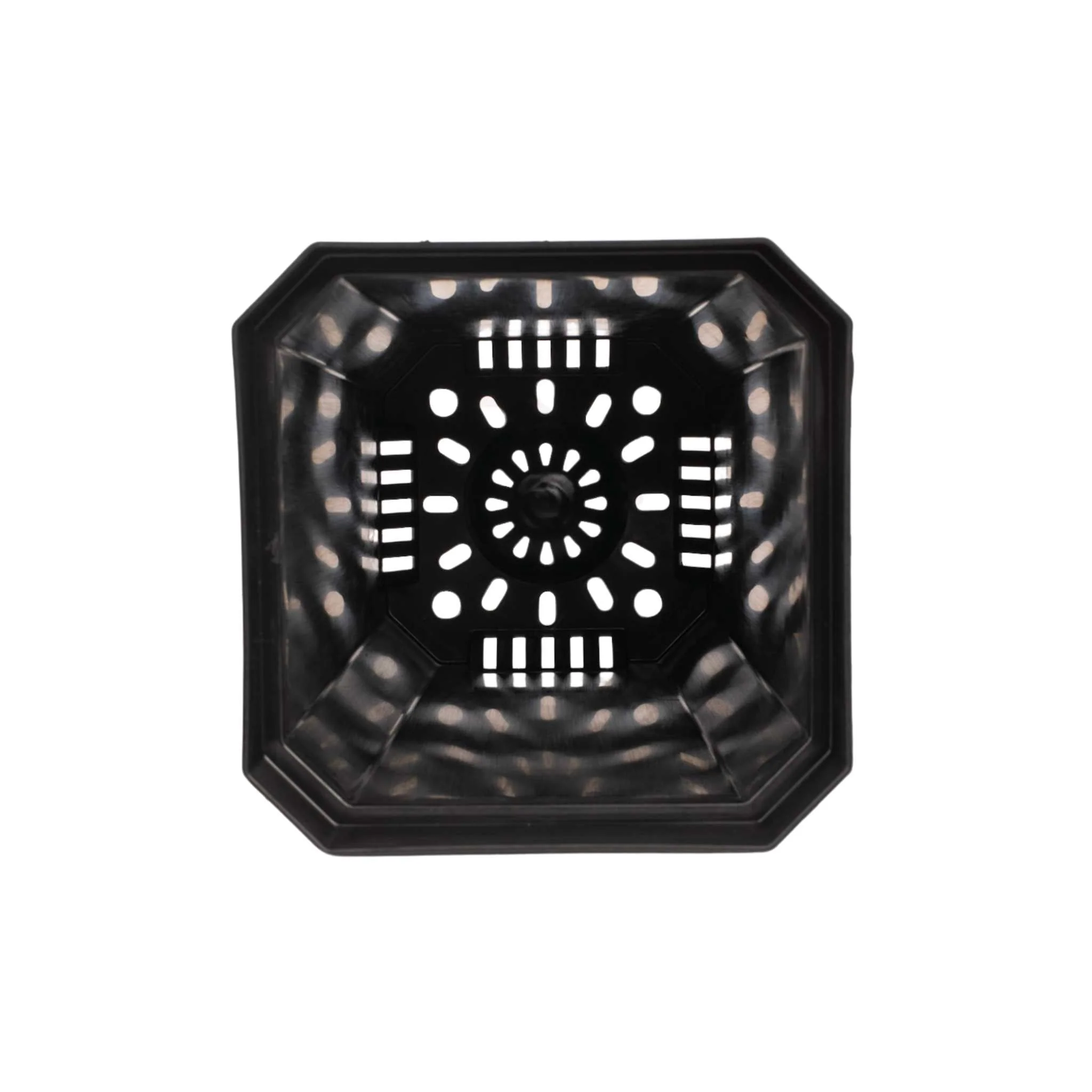 5" Nursery Pots with Insert Tray - Image 7