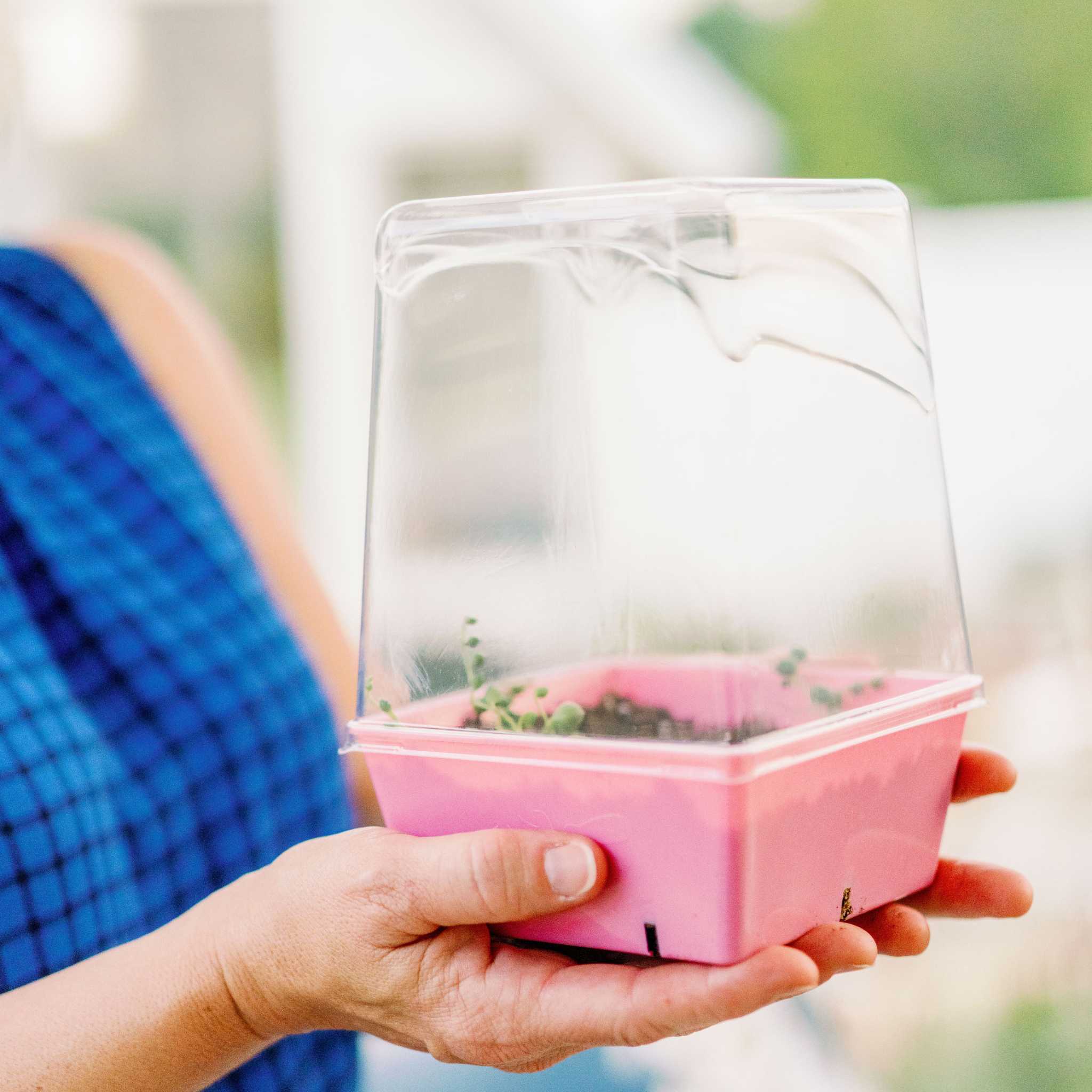5x5 Grow Trays - Extra Strength Inserts - Image 10