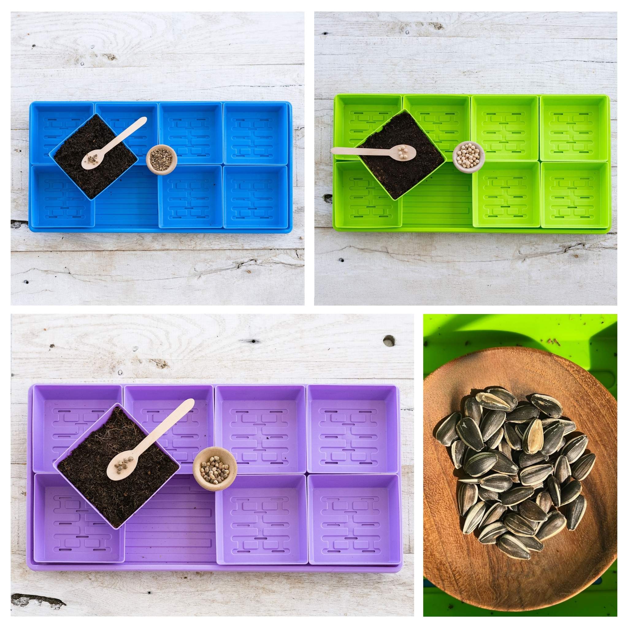 5x5 Microgreens Kit - Image 5