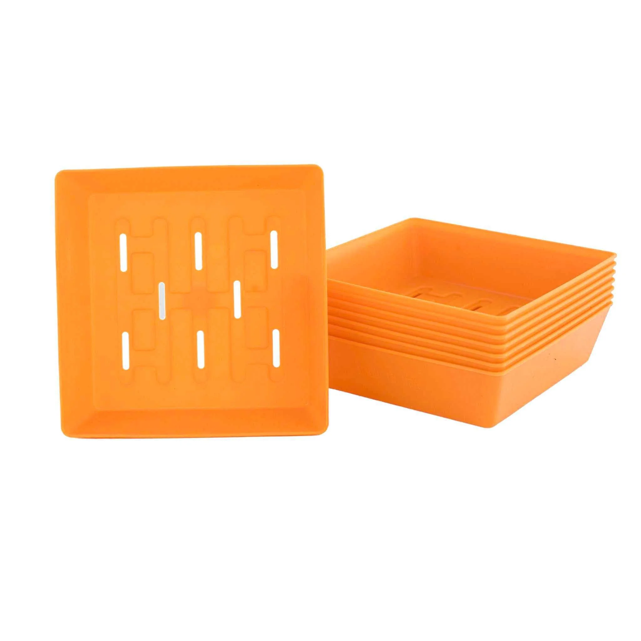 5X5 Shallow Microgreen Trays - Image 12