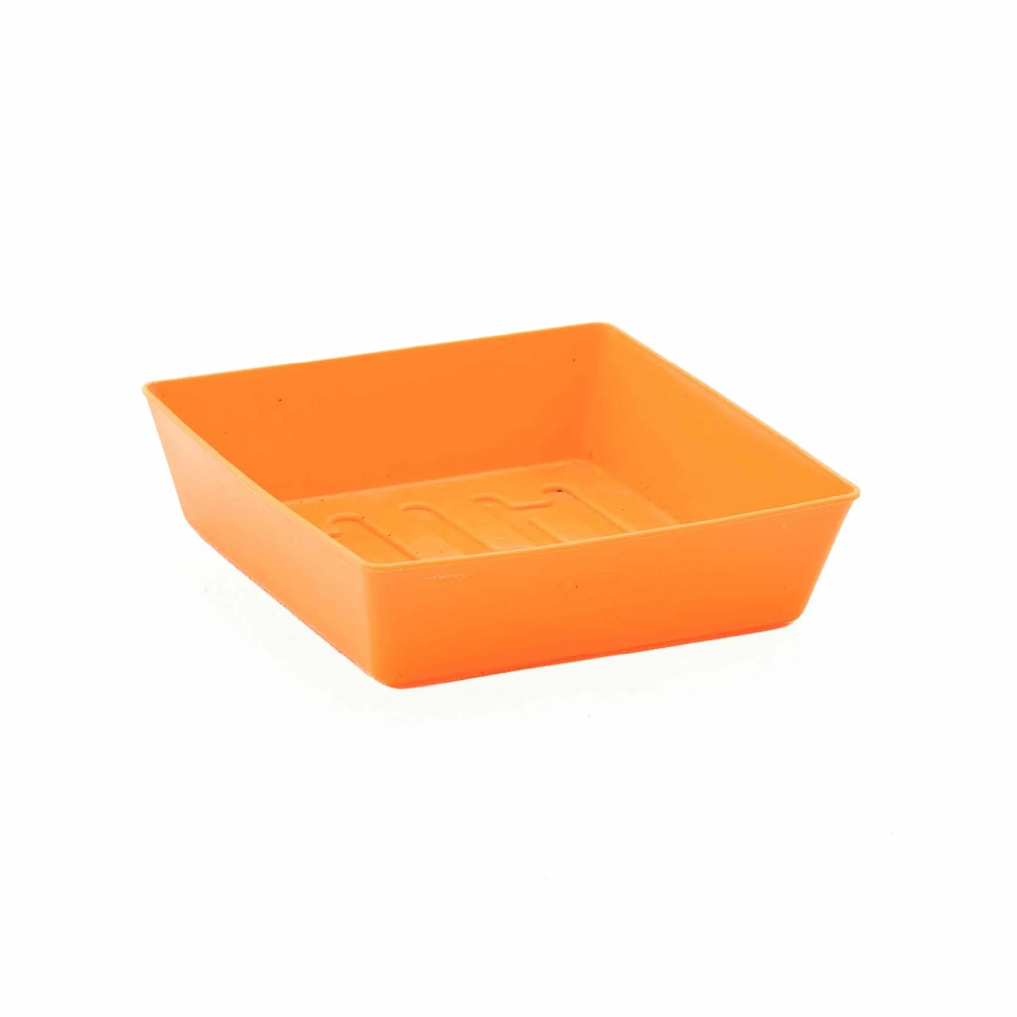 5X5 Shallow Microgreen Trays - Image 14
